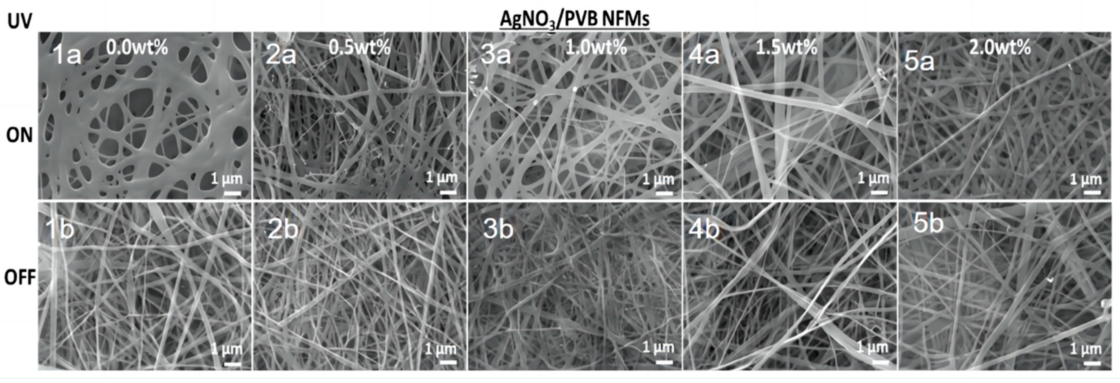 Molecules 28 06157 g001