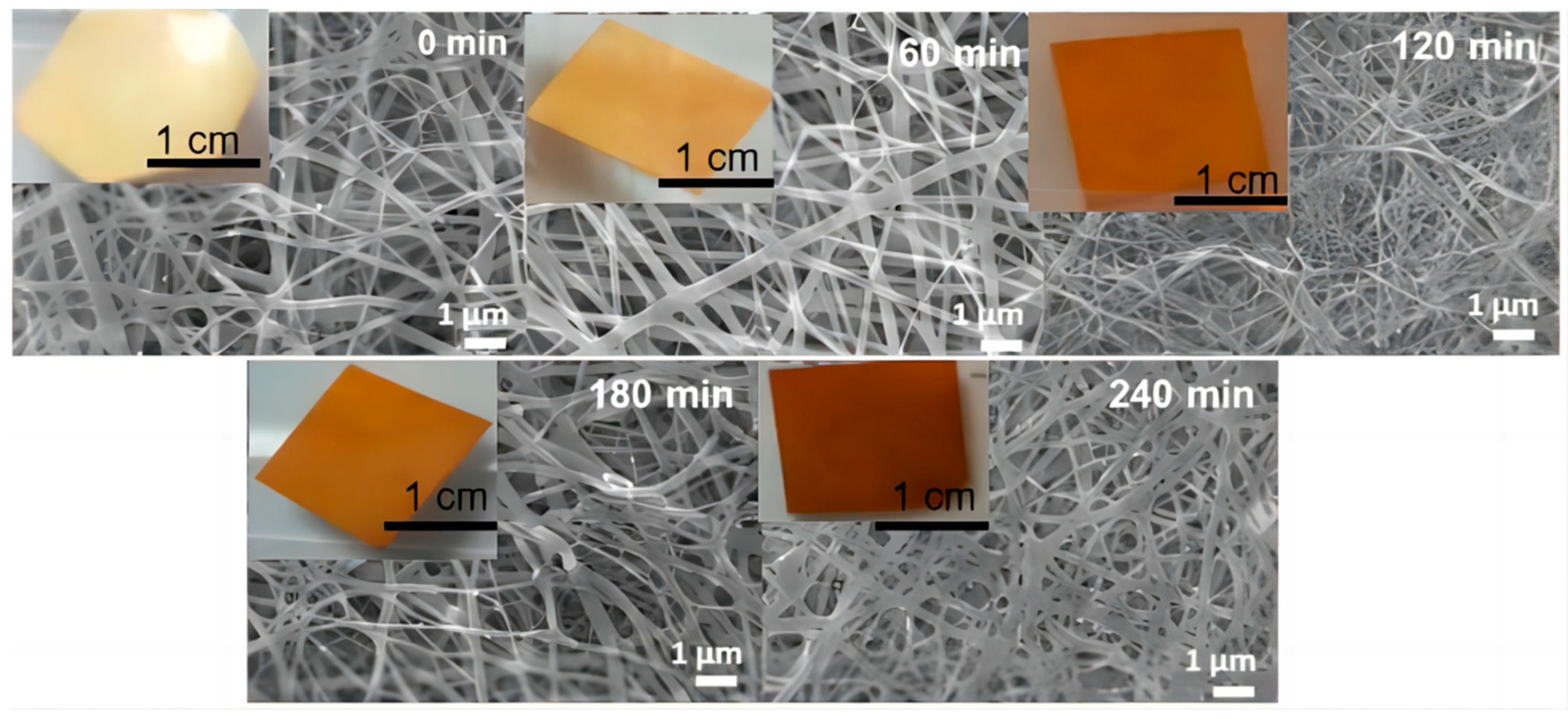 Molecules 28 06157 g003