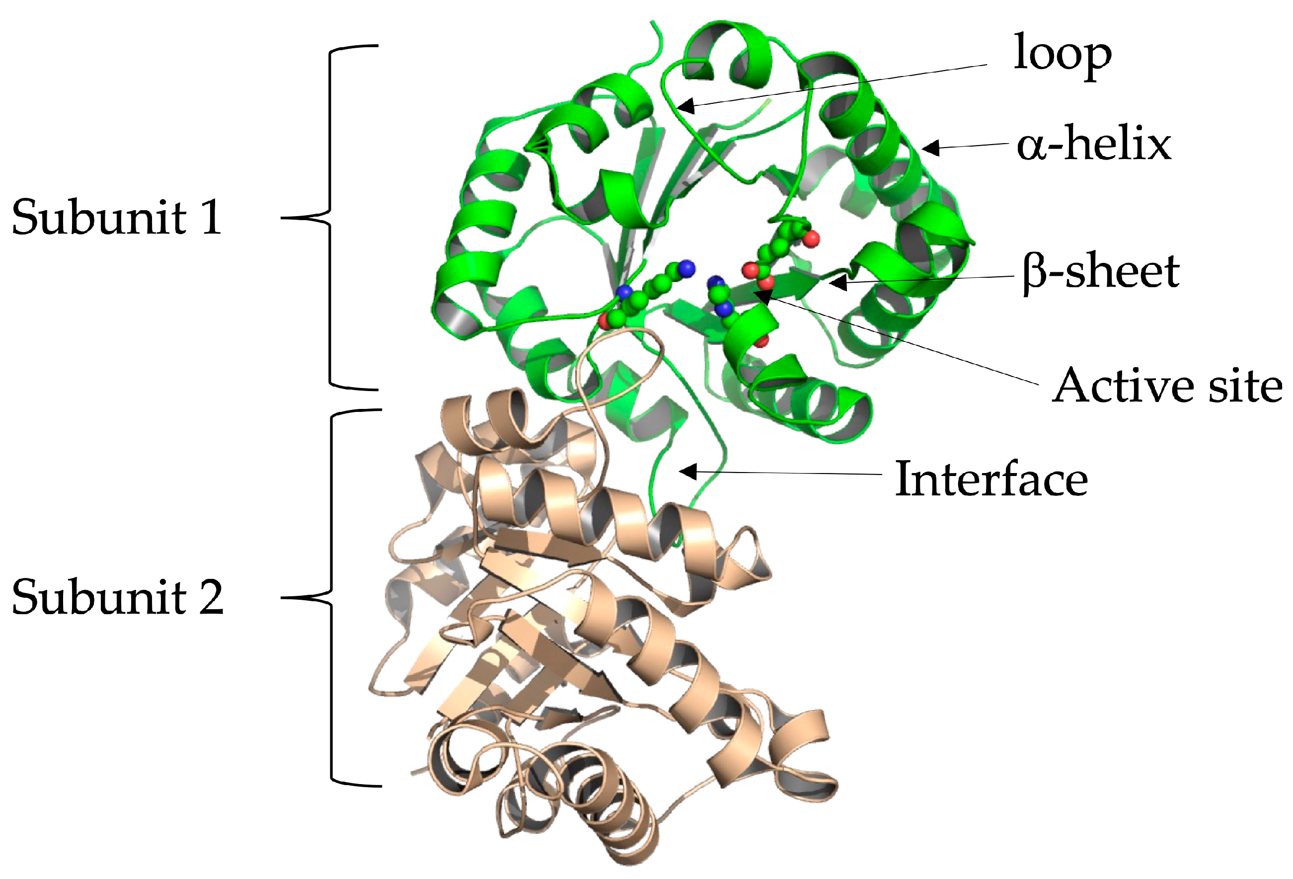 Molecules 28 06163 g002 Molecules 28 06163 g002
