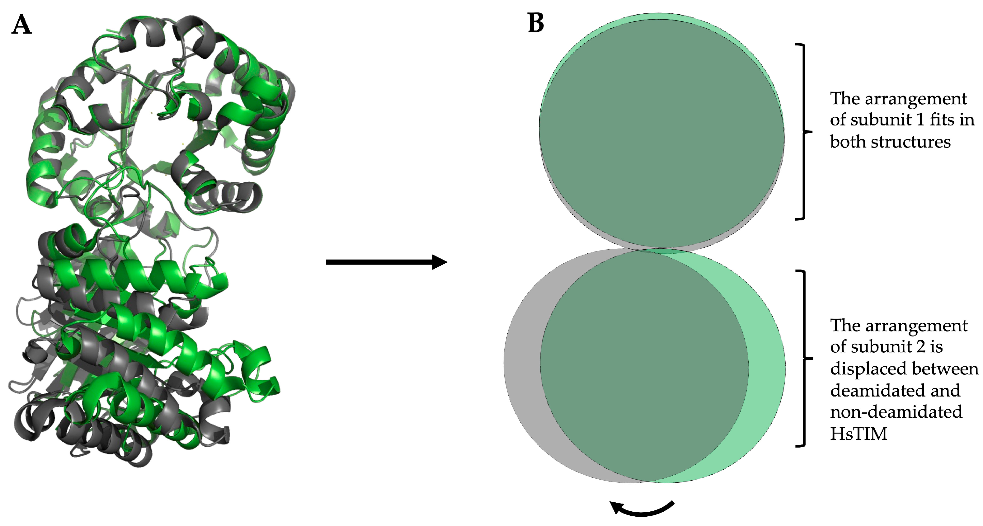 Molecules 28 06163 g003 Molecules 28 06163 g003