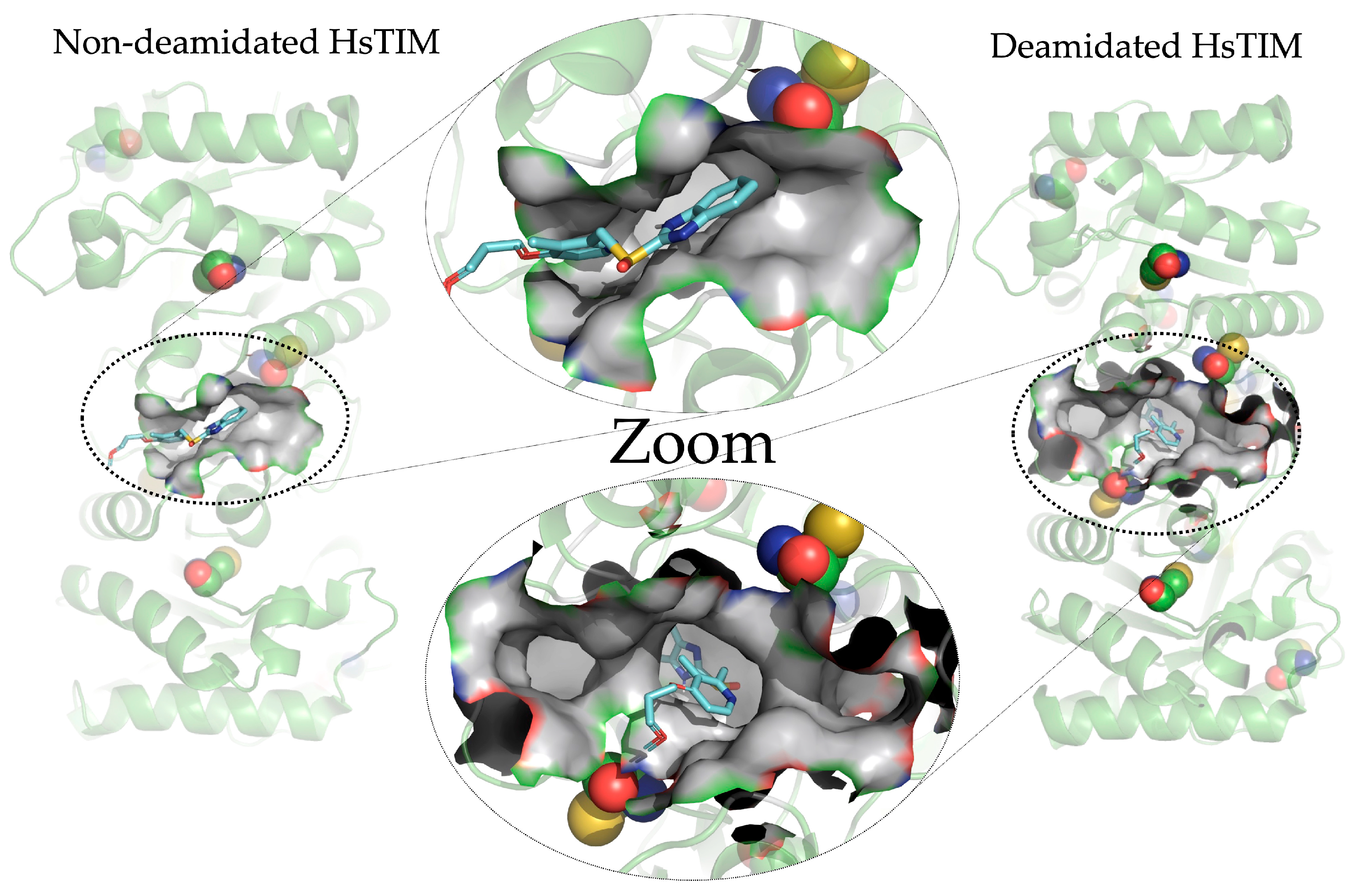 Molecules 28 06163 g004 Molecules 28 06163 g004