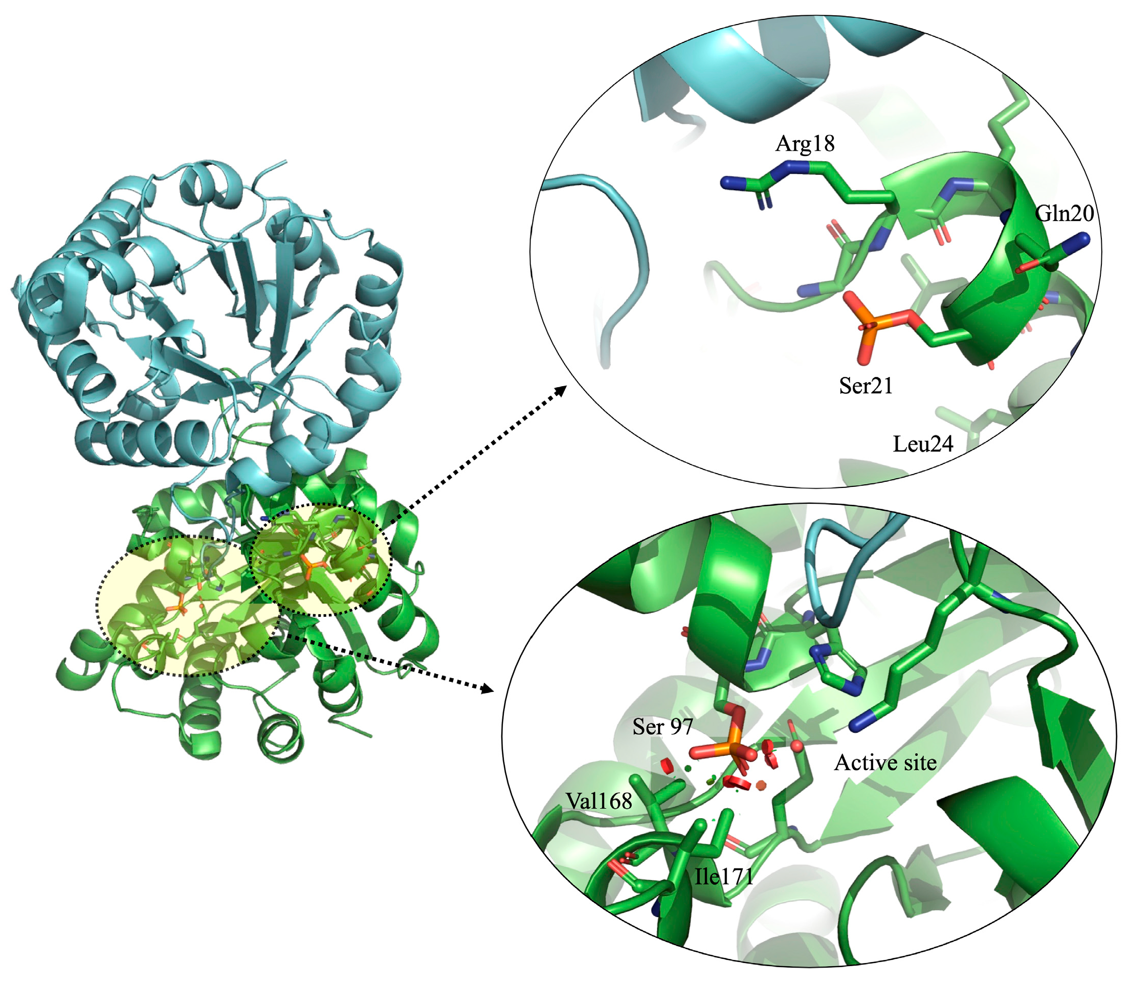 Molecules 28 06163 g007 Molecules 28 06163 g007