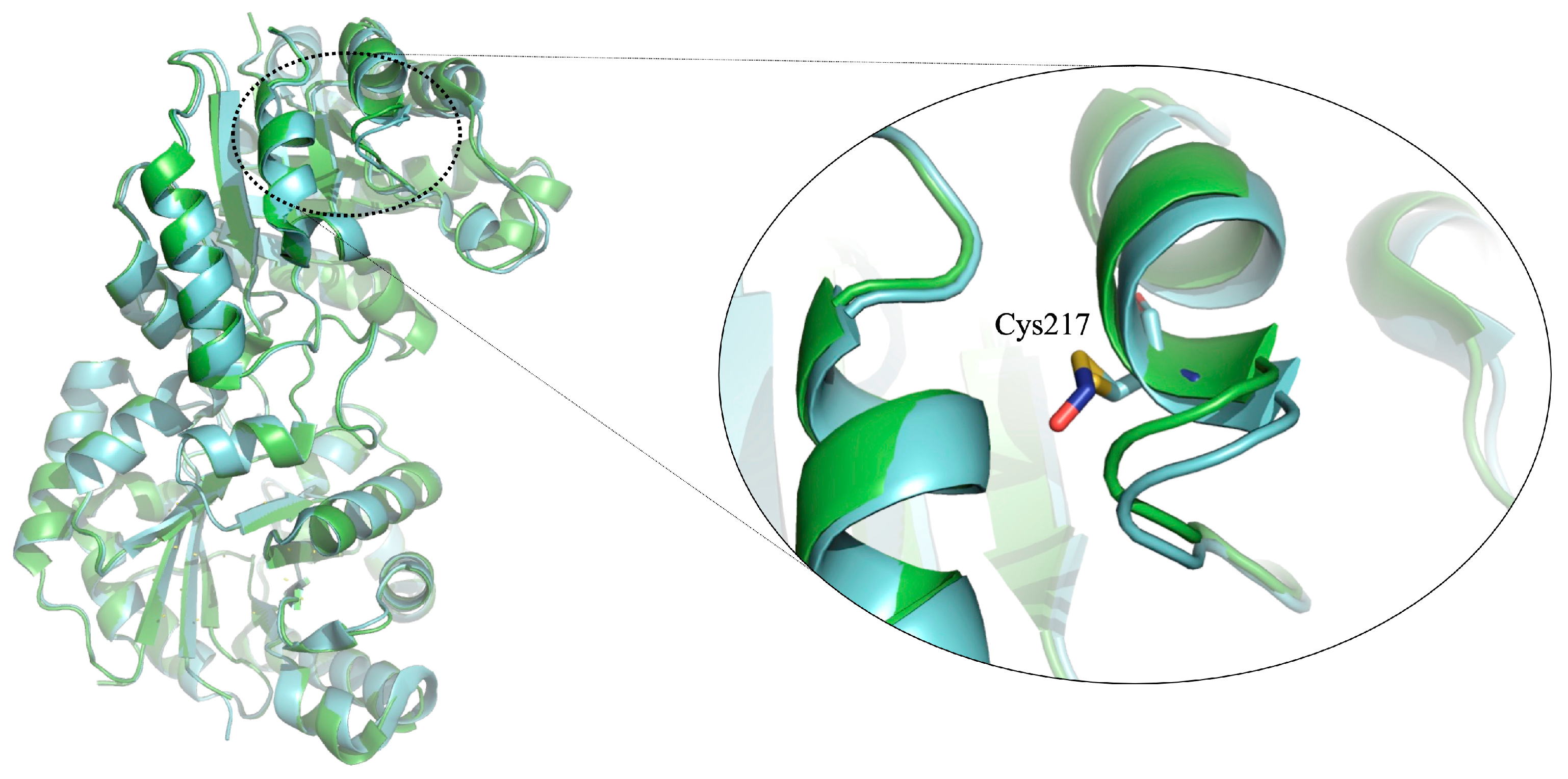 Molecules 28 06163 g008 Molecules 28 06163 g008