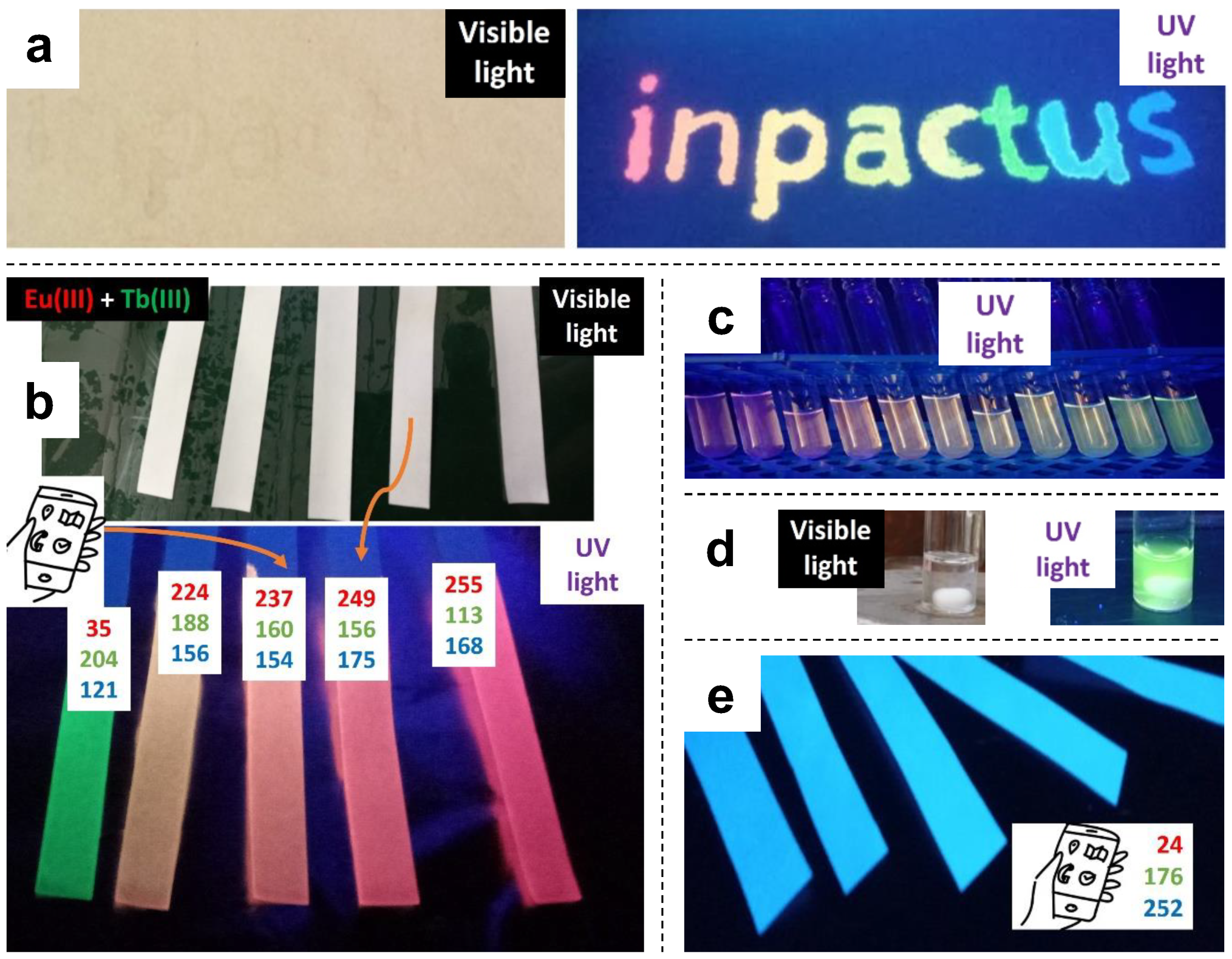 Molecules 28 06164 g002