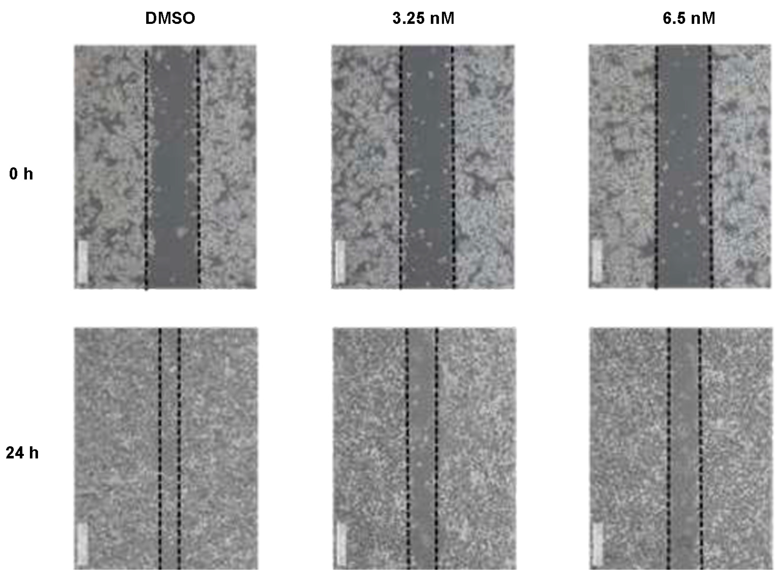 Molecules 28 06165 g004