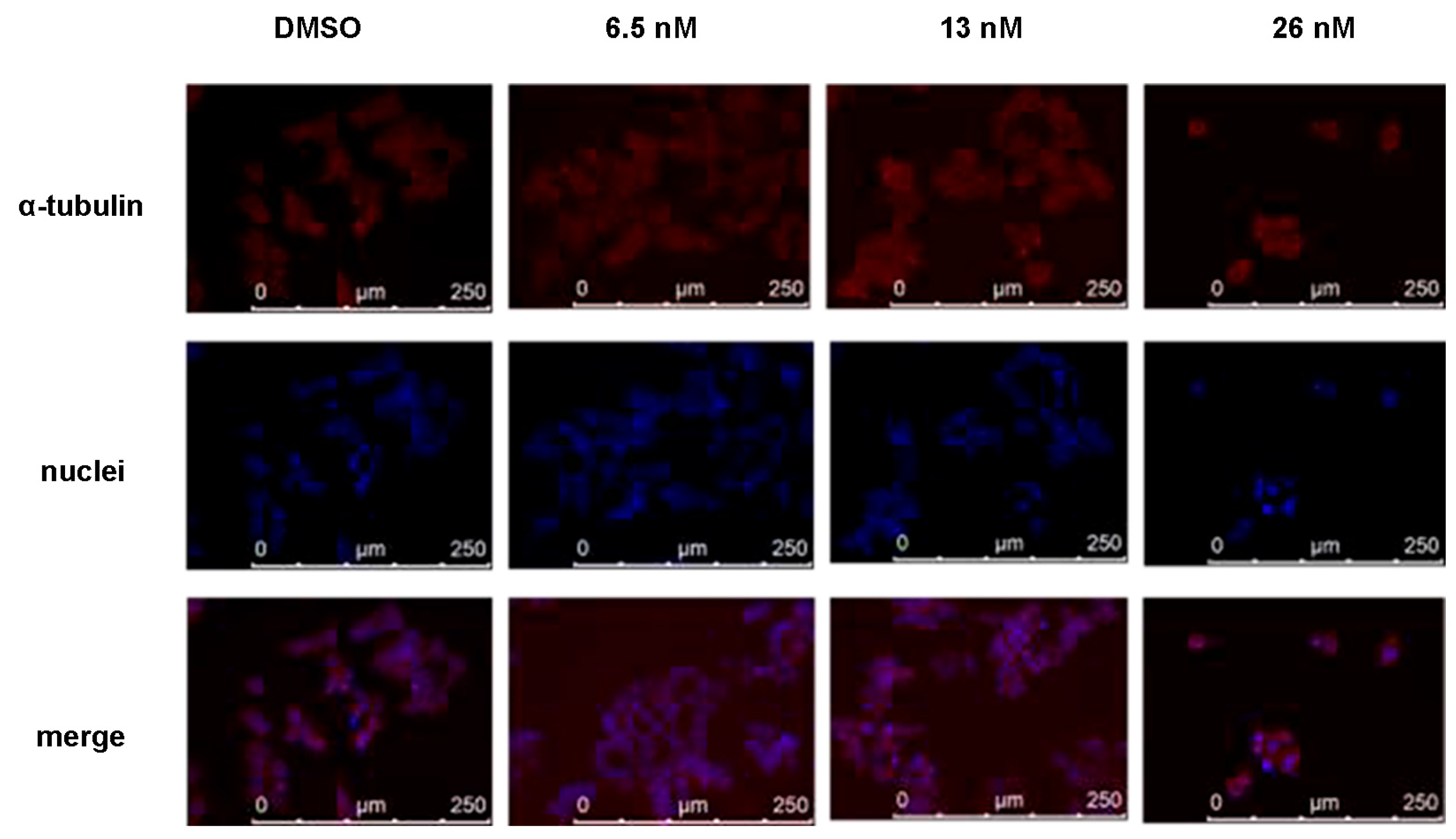 Molecules 28 06165 g005