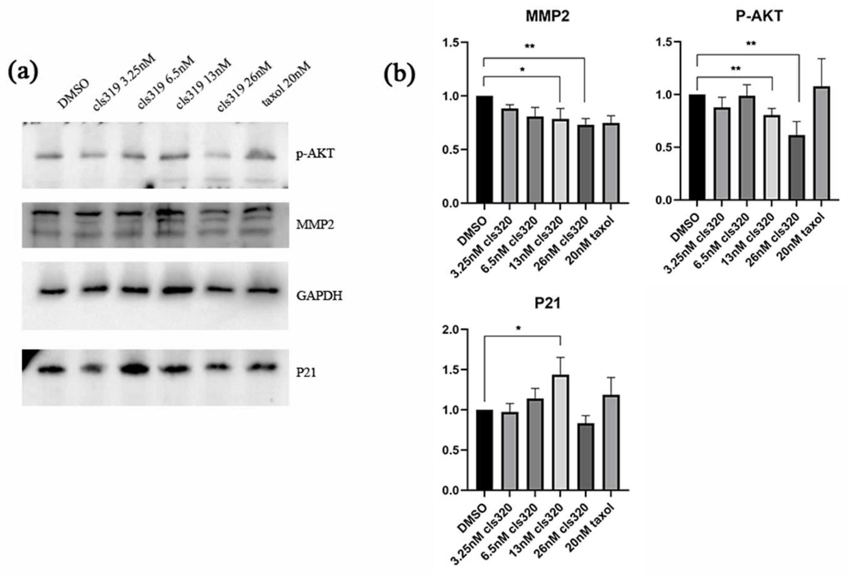 Molecules 28 06165 g006
