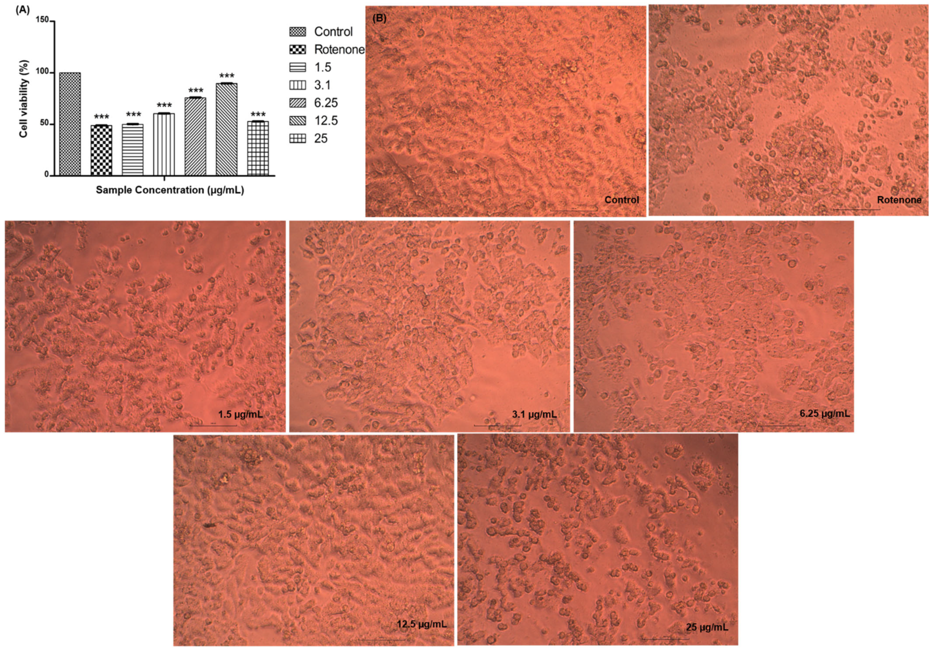Molecules 28 06167 g006