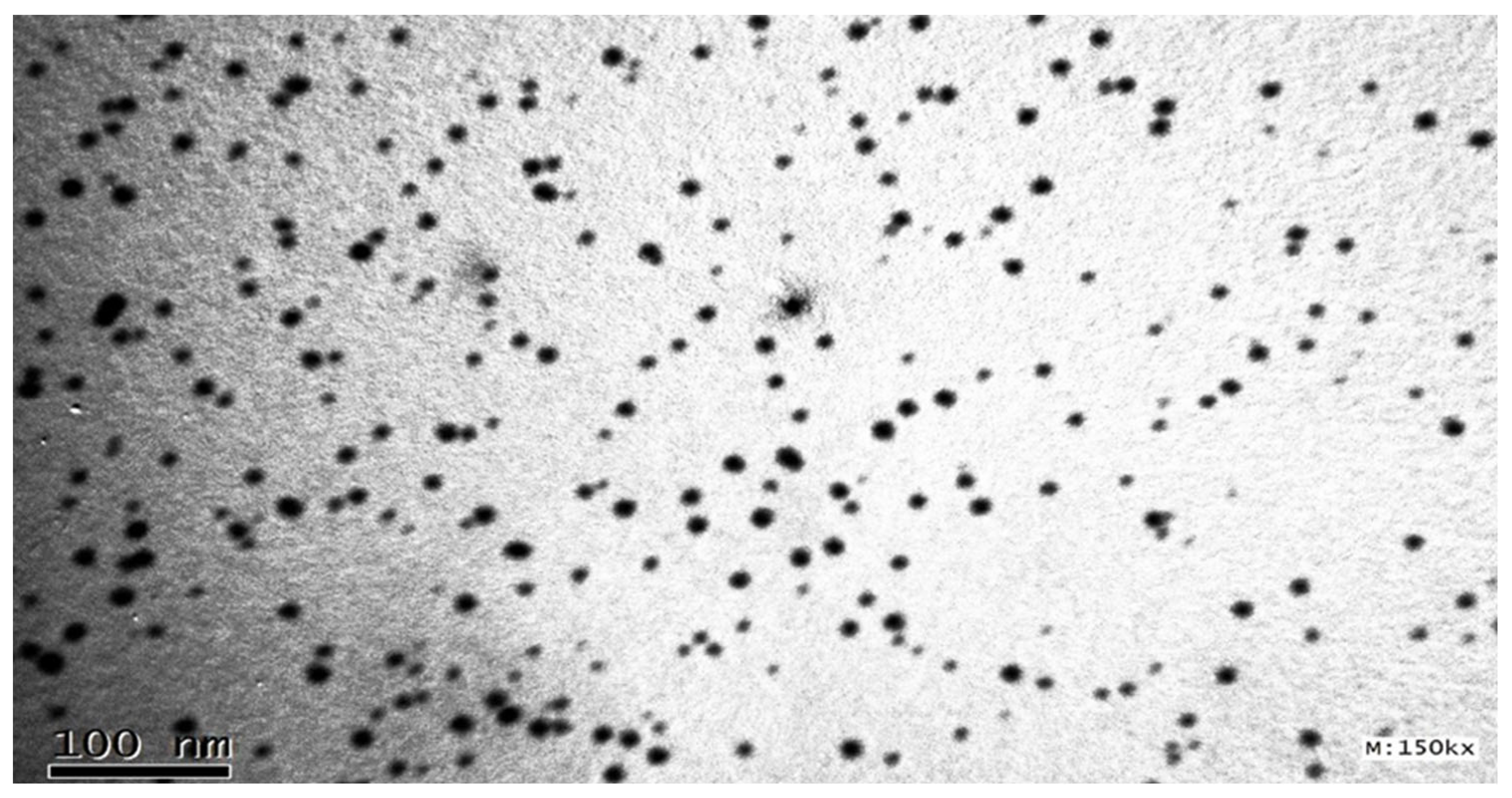 Molecules 28 06168 g005