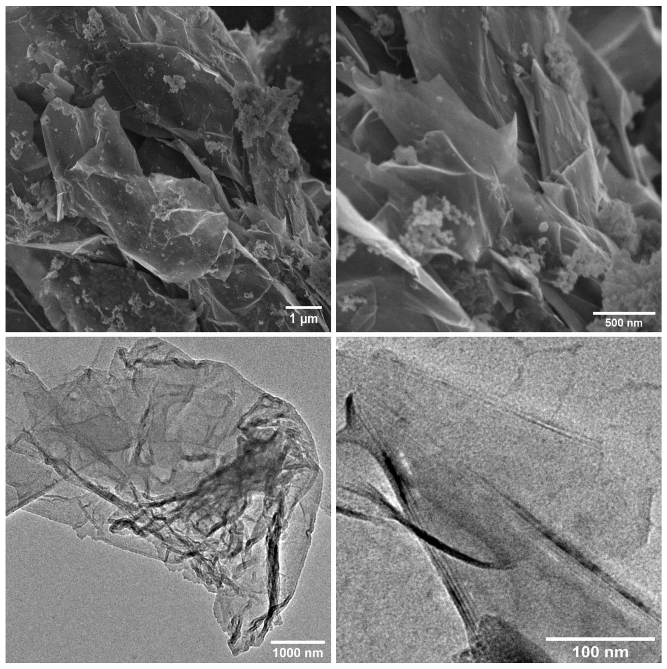 Molecules 28 06173 g002