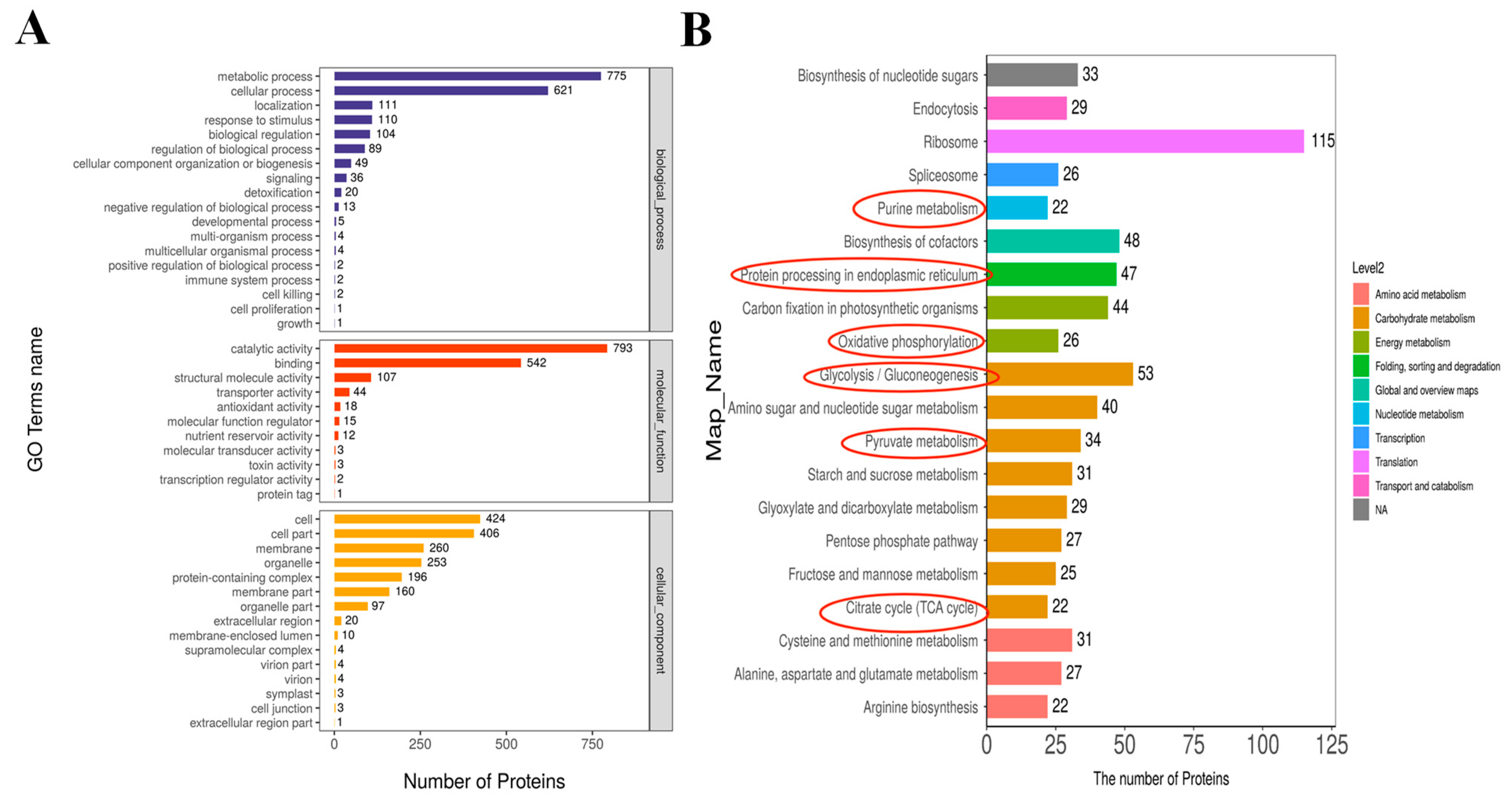 Molecules 28 06182 g003