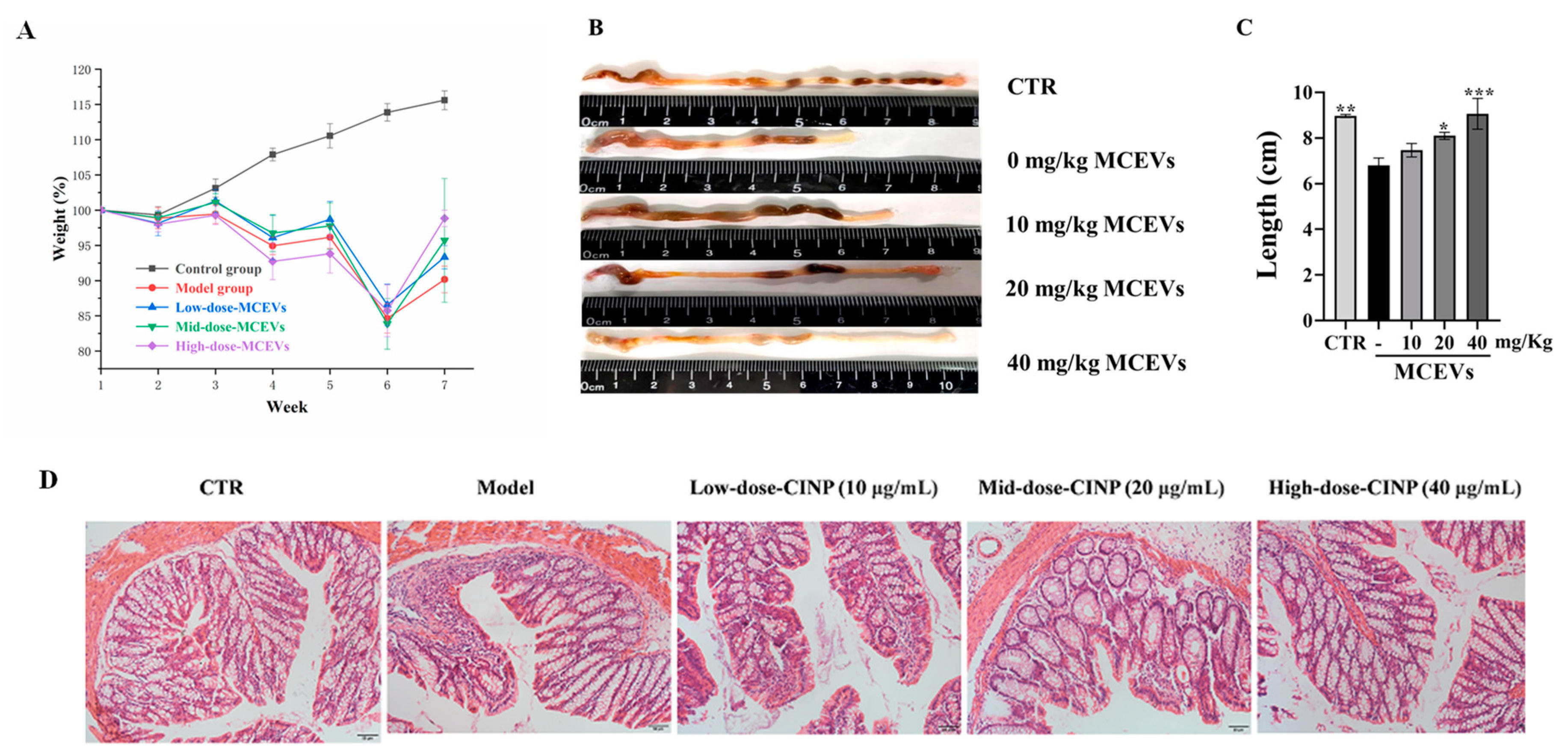 Molecules 28 06182 g005