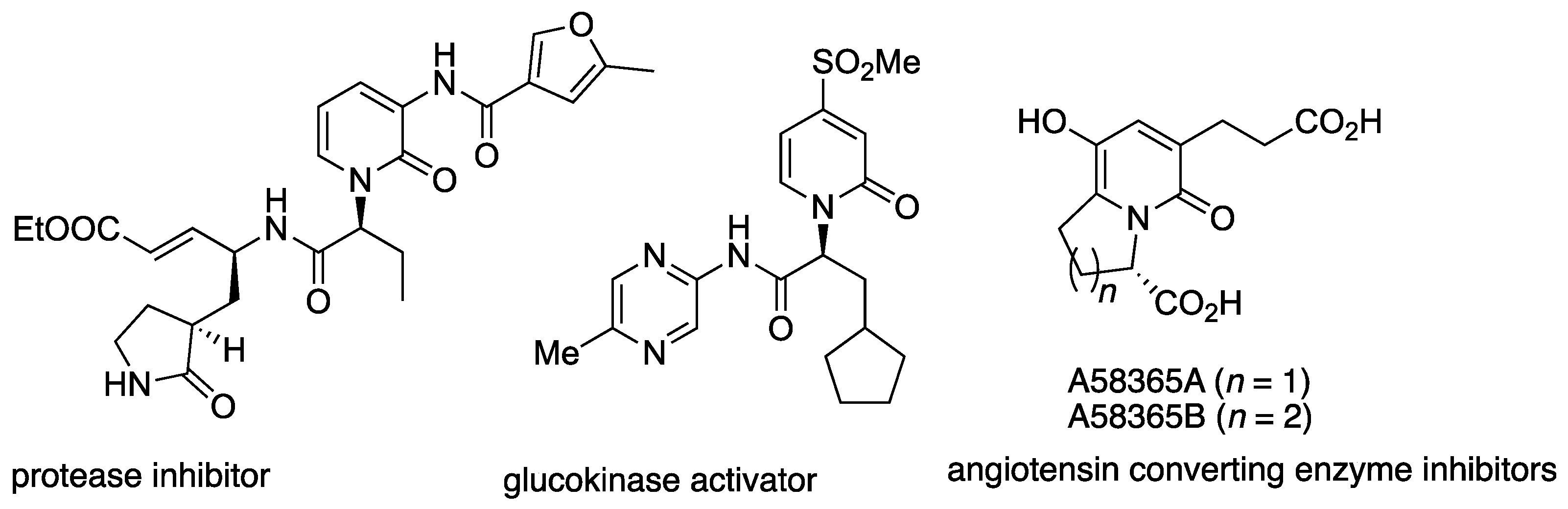 Molecules 28 06186 g002