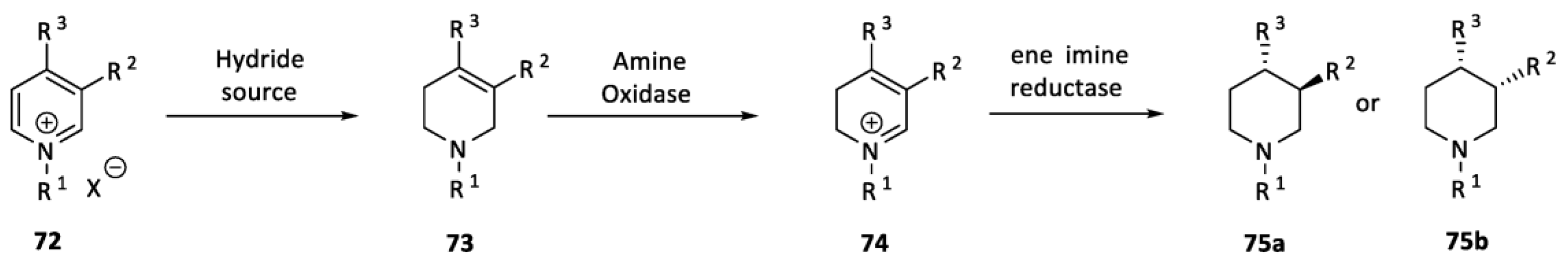 Molecules 28 06186 sch017