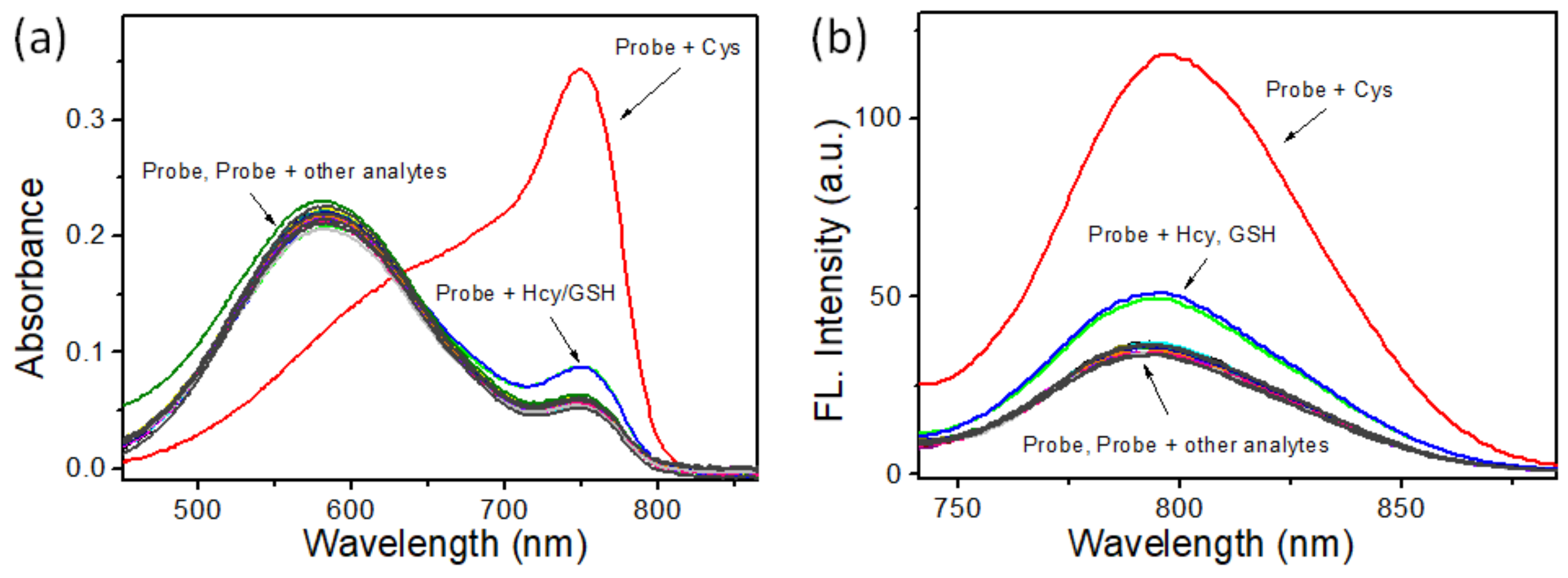Molecules 28 06189 g001