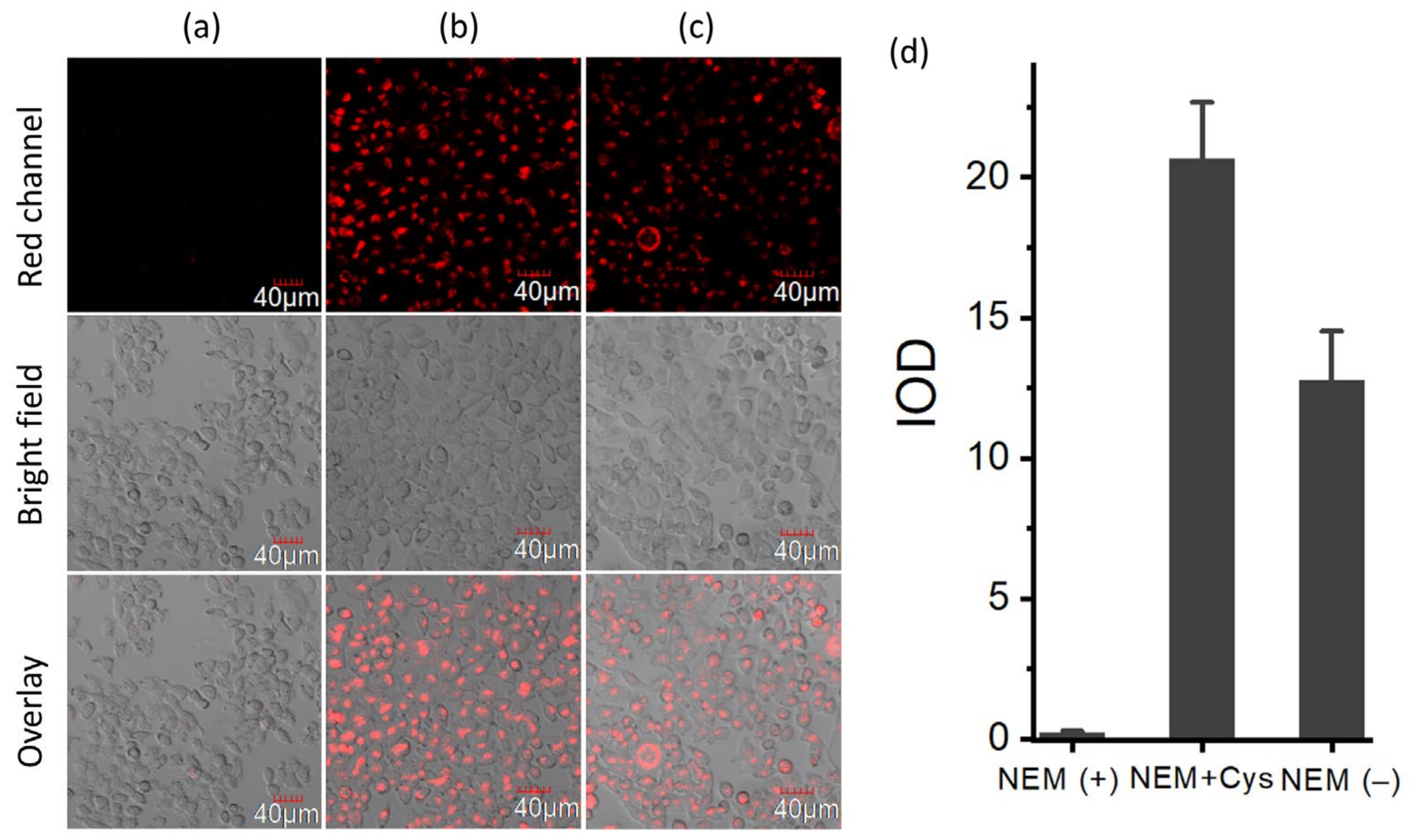 Molecules 28 06189 g004