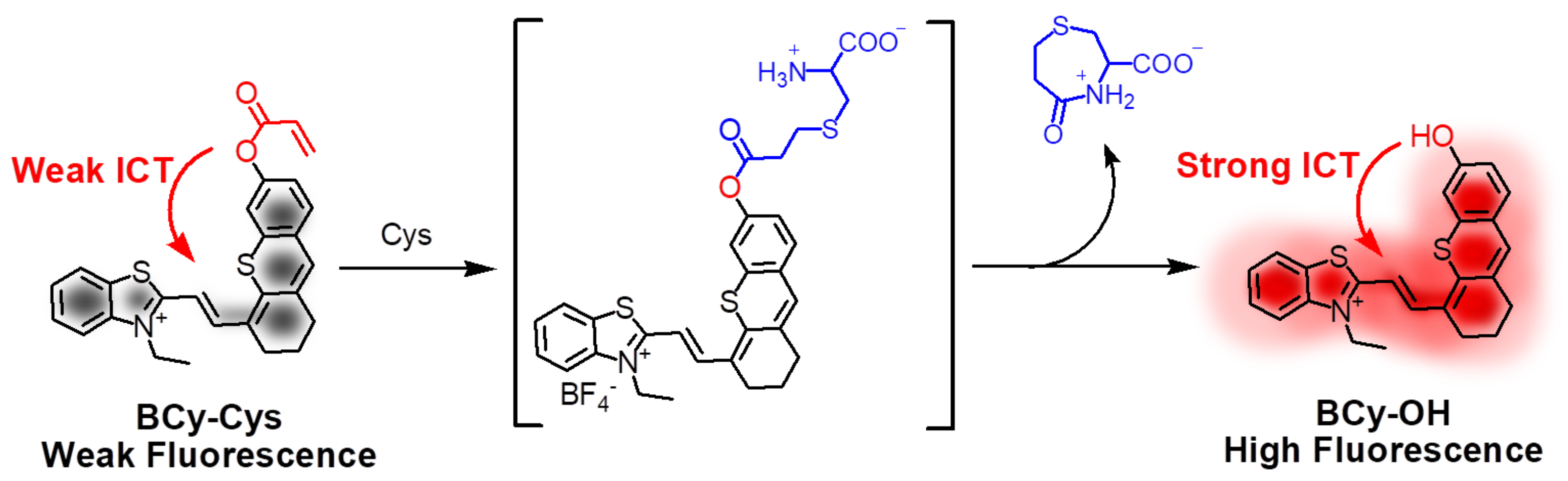 Molecules 28 06189 sch002