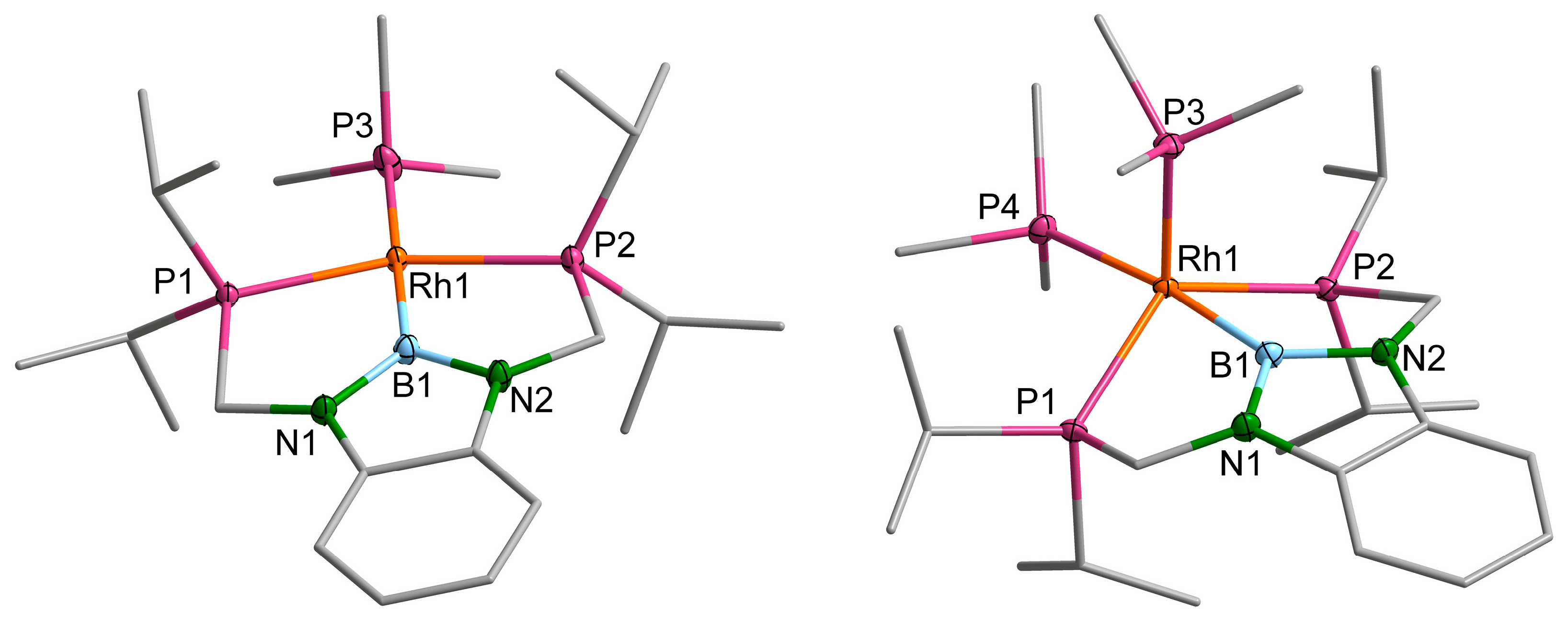 Molecules 28 06191 g003 Molecules 28 06191 g003