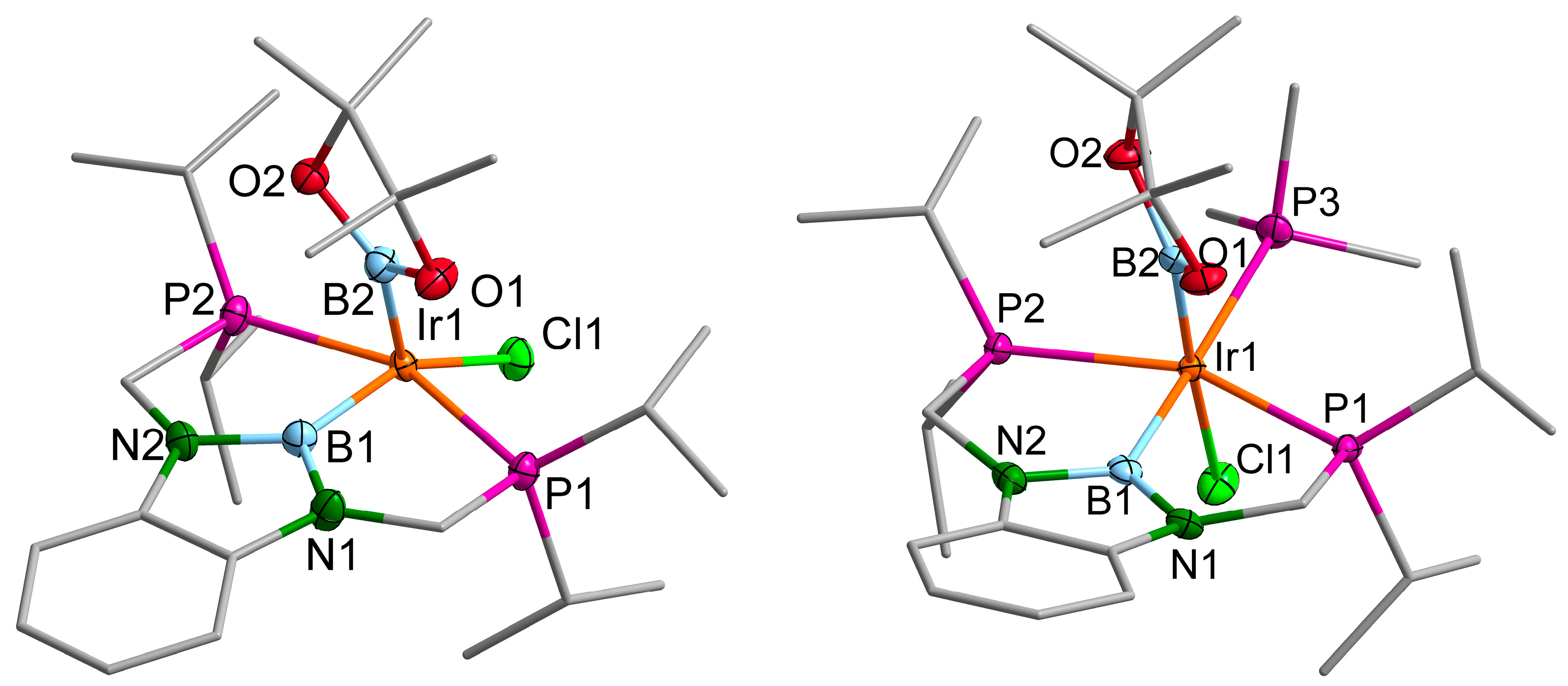 Molecules 28 06191 g005 Molecules 28 06191 g005