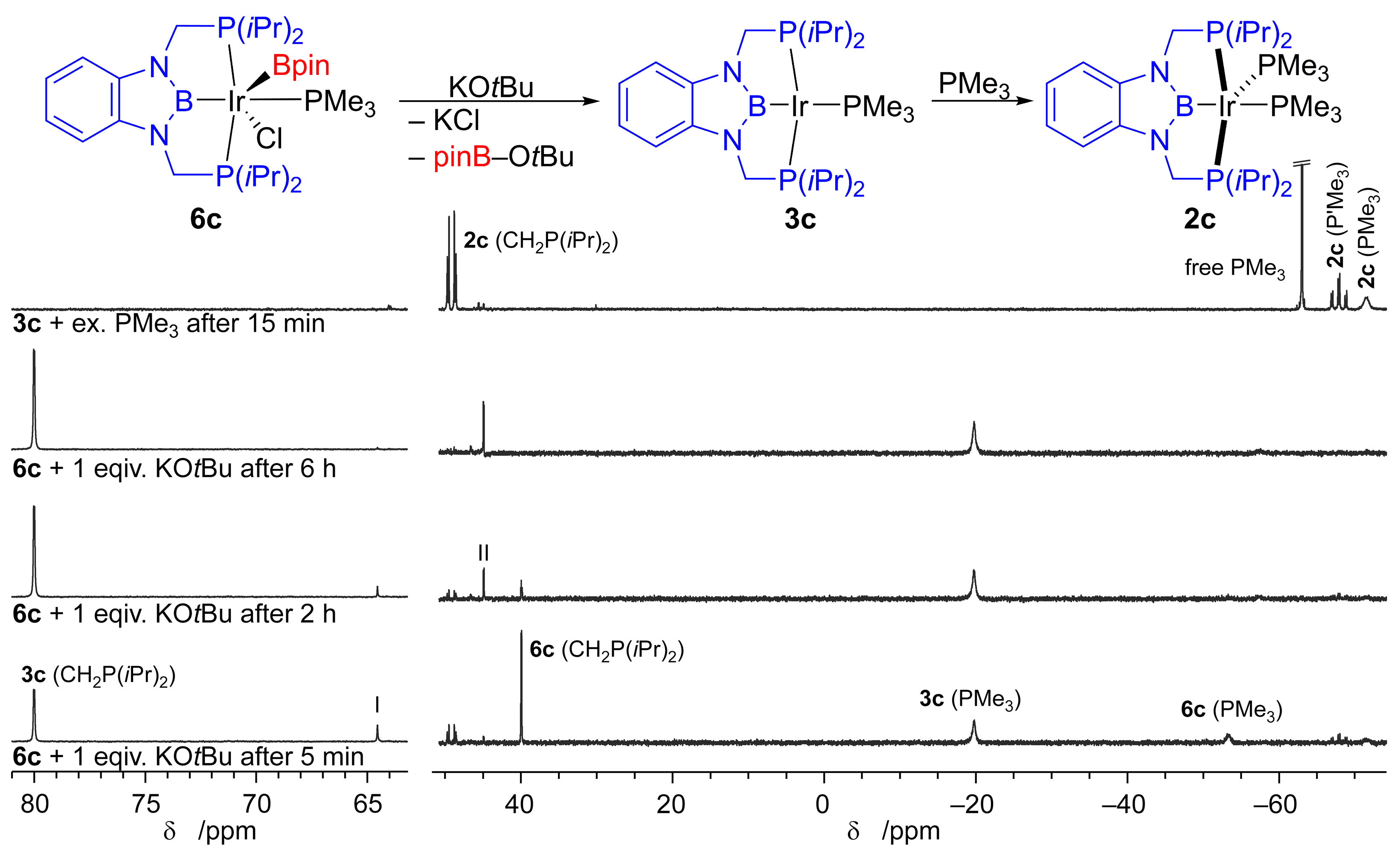 Molecules 28 06191 g006 Molecules 28 06191 g006