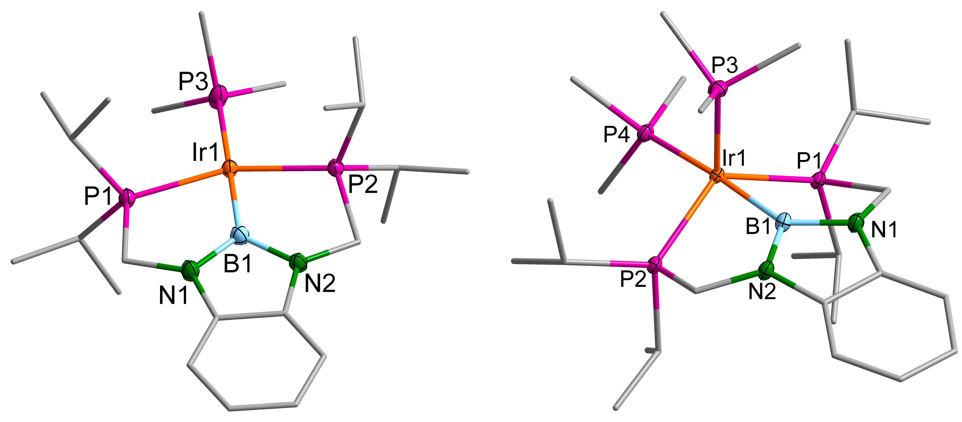 Molecules 28 06191 g007 Molecules 28 06191 g007