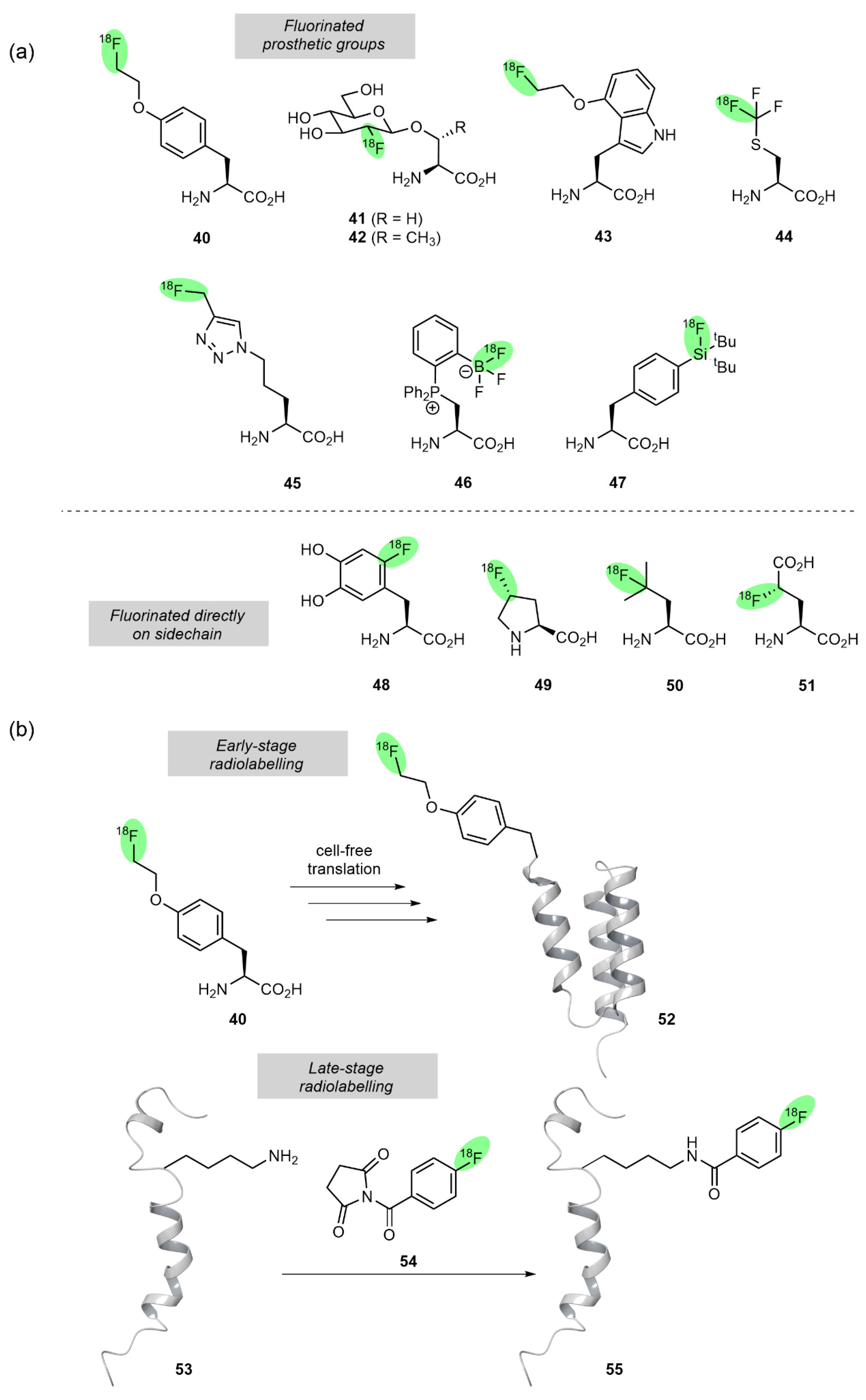 Molecules 28 06192 g003