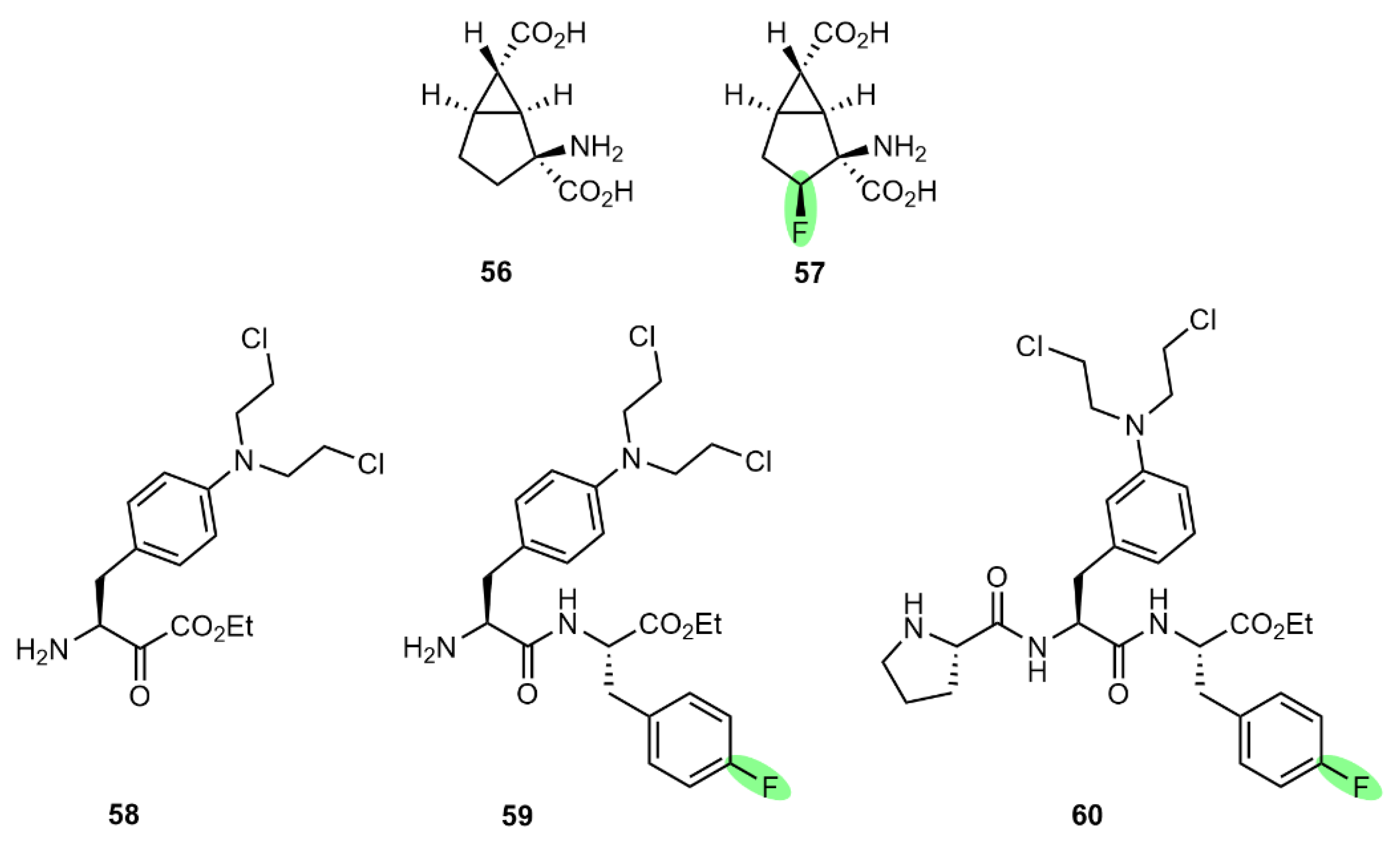 Molecules 28 06192 g004