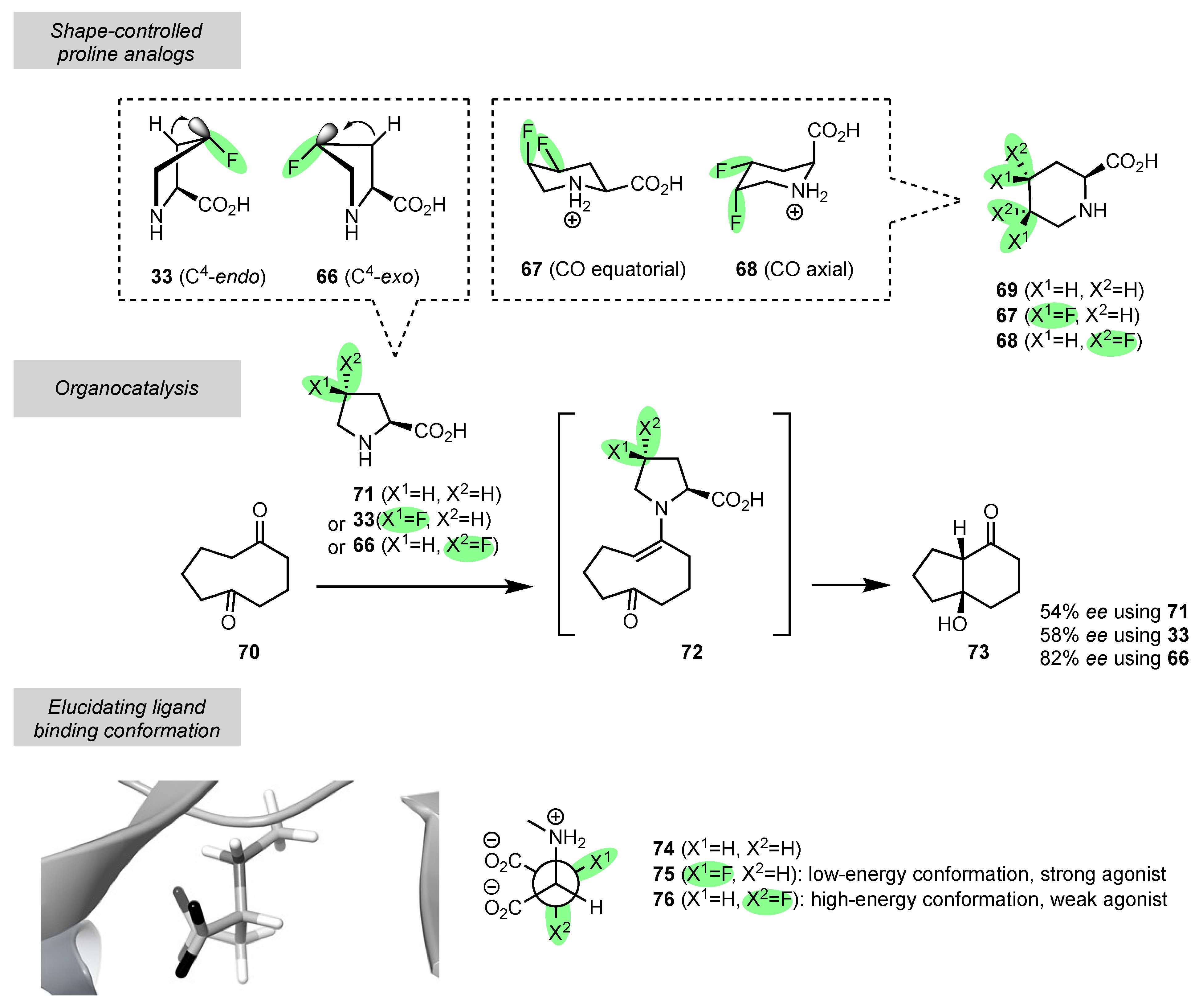Molecules 28 06192 g007