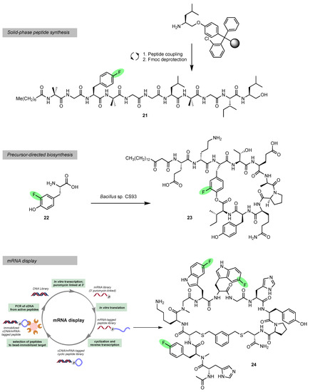 みーな ZX-10R ZX10R ZX-10RR 2004-2018モデルマニュアルタイミング