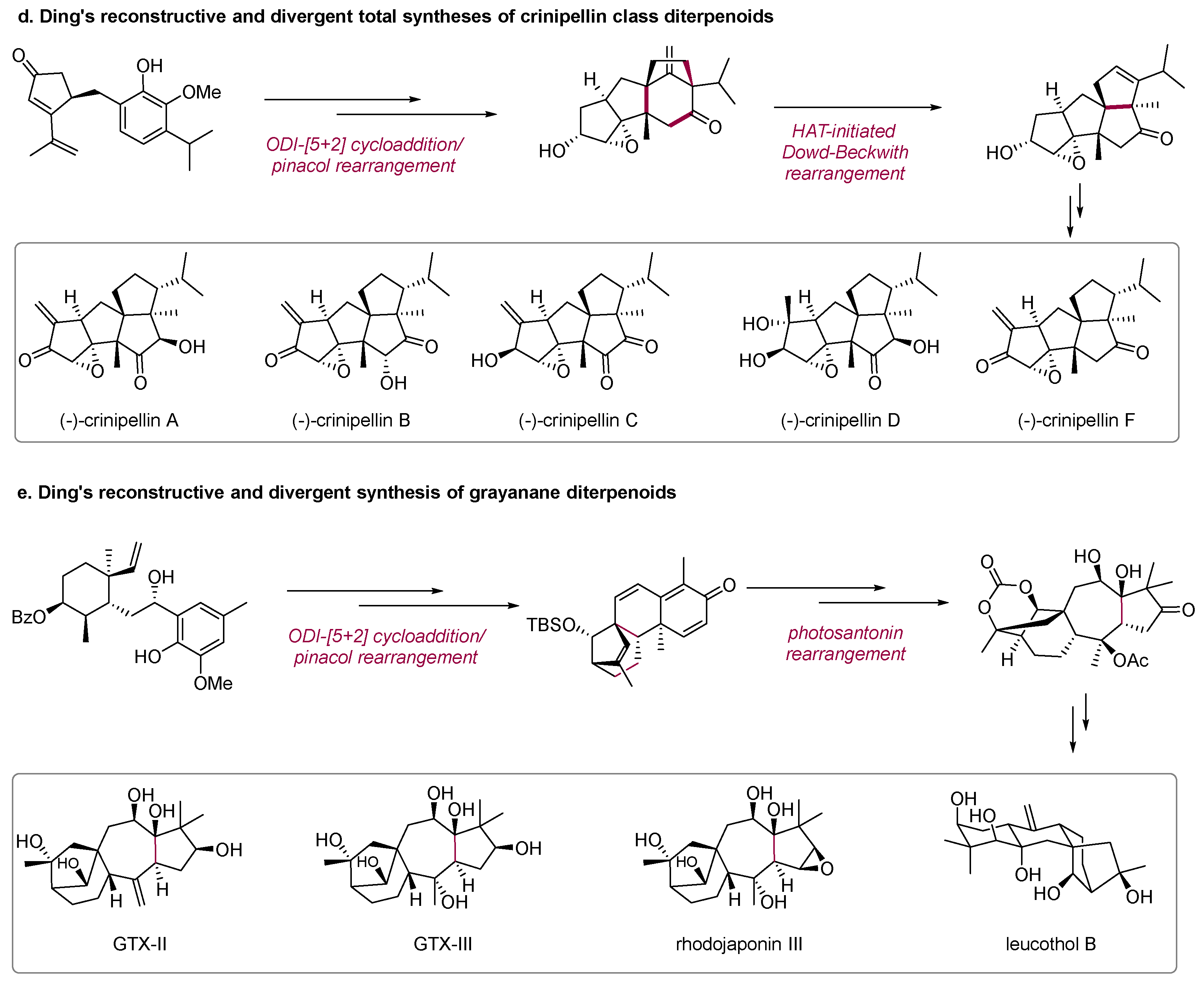 Molecules 28 06193 sch002b