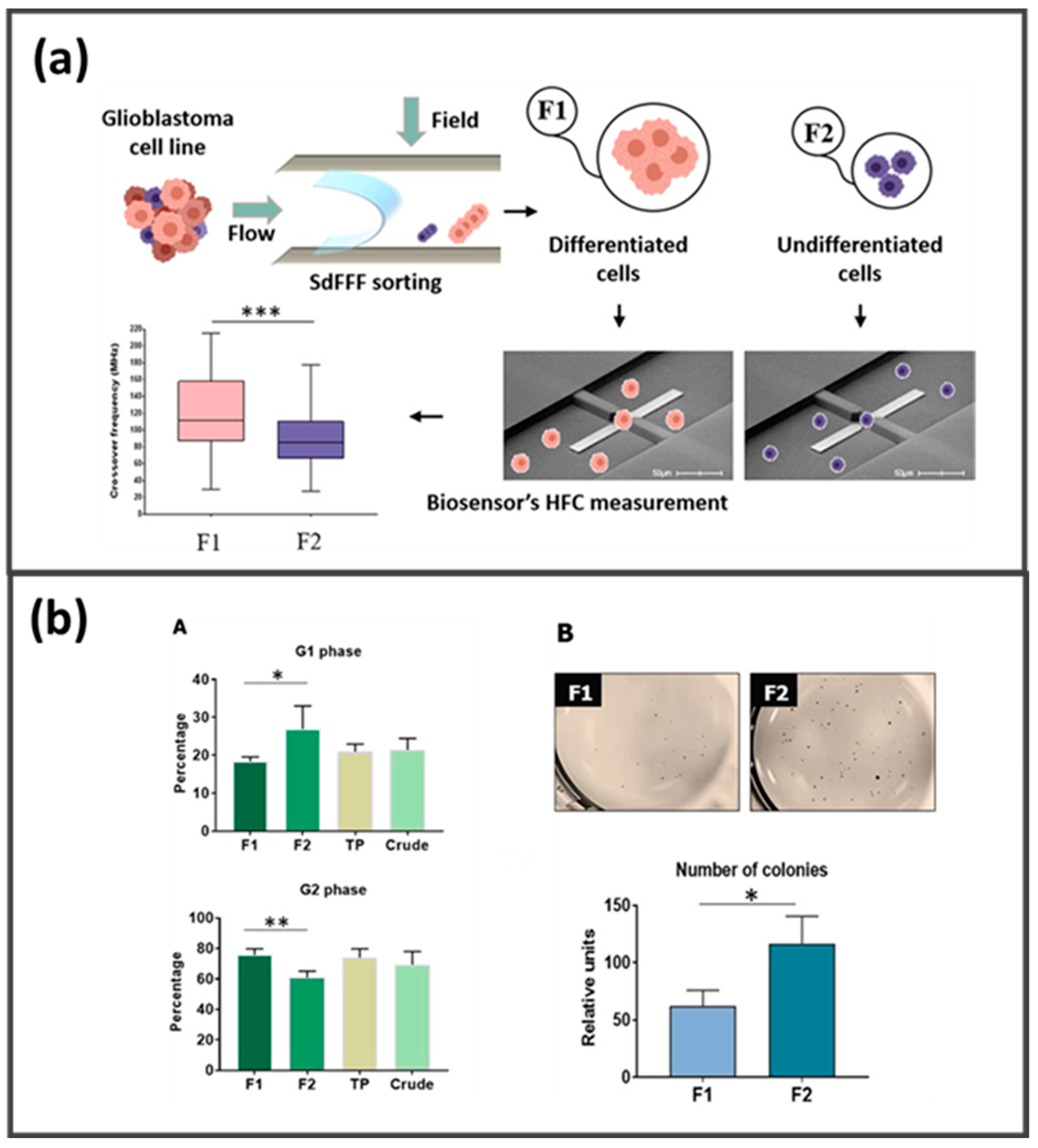 Molecules 28 06201 g009 Molecules 28 06201 g009