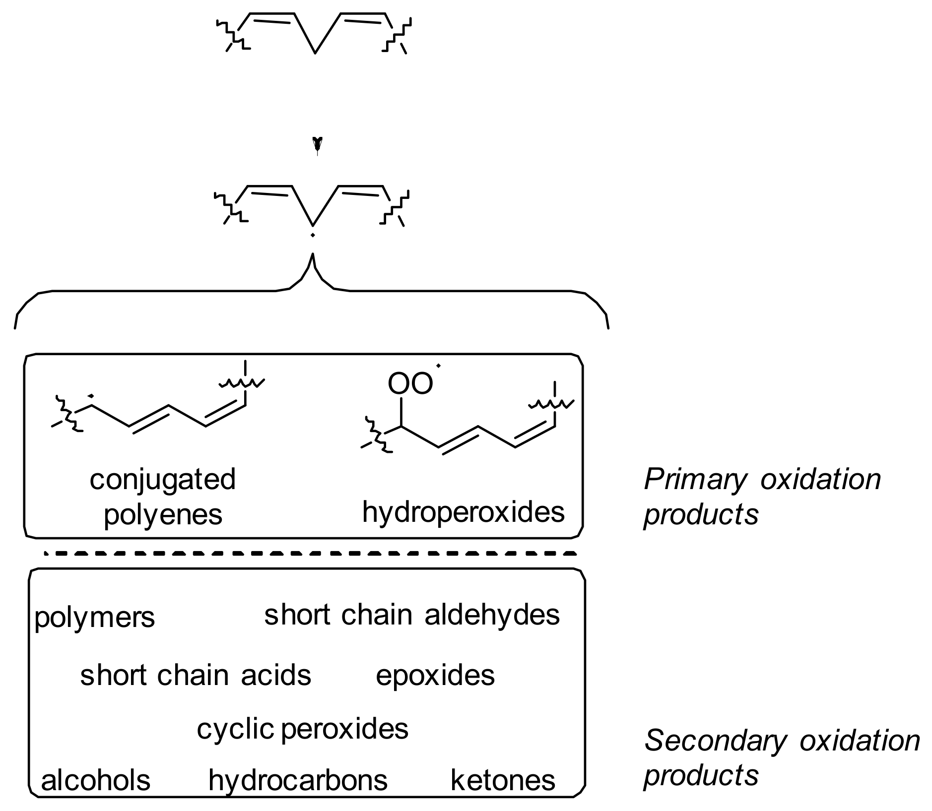 Molecules 28 06203 g001