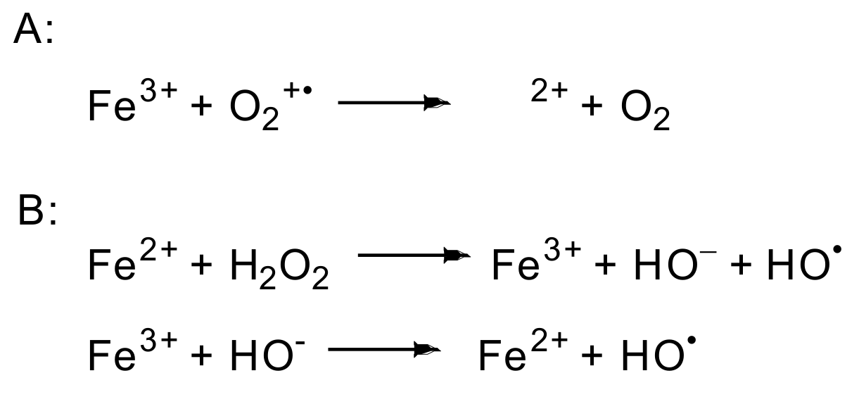 Molecules 28 06203 sch004