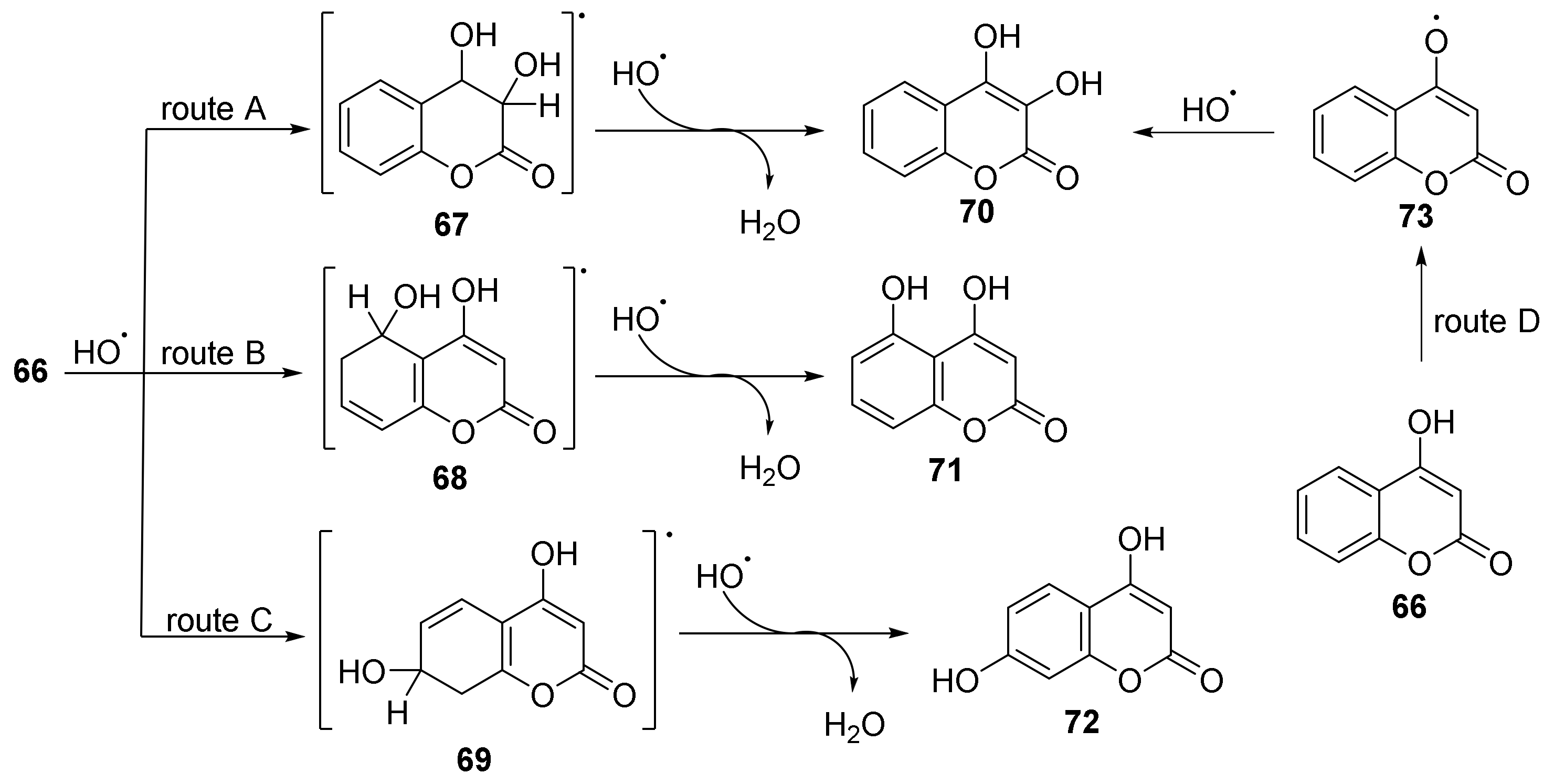 Molecules 28 06203 sch012