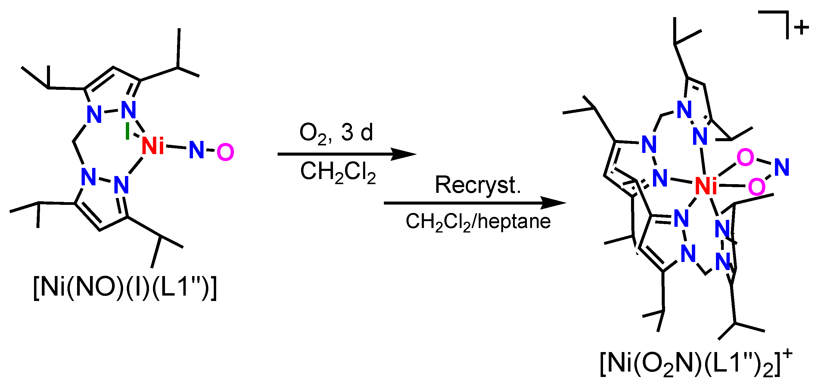 Molecules 28 06206 g005