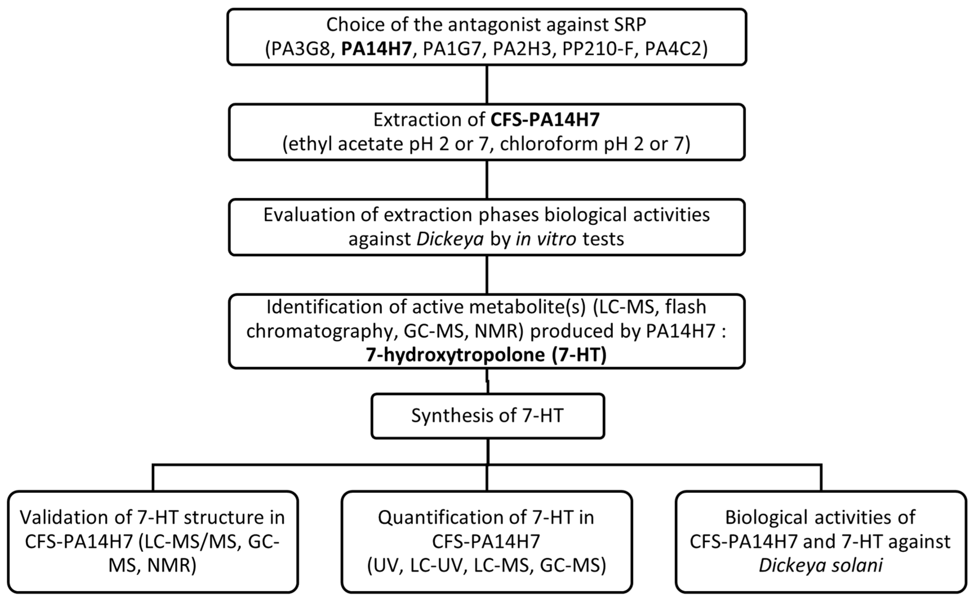 Molecules 28 06207 g008