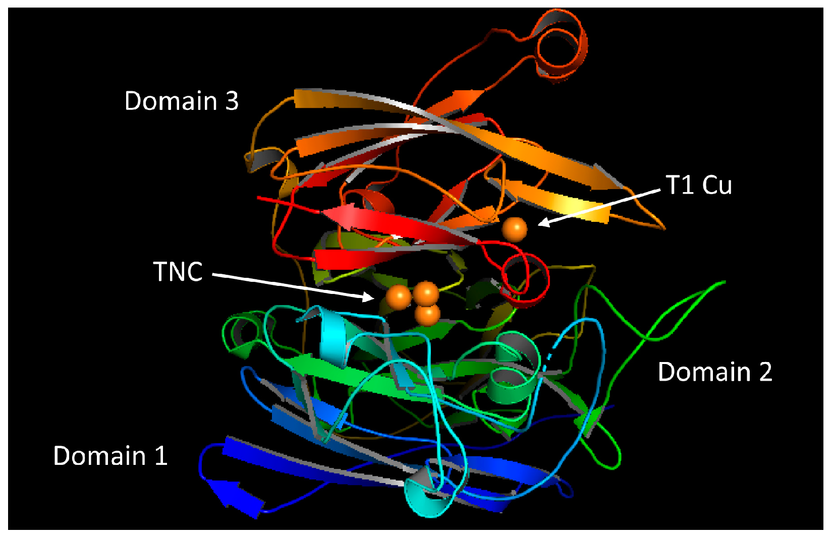 Molecules 28 06209 g001 Molecules 28 06209 g001