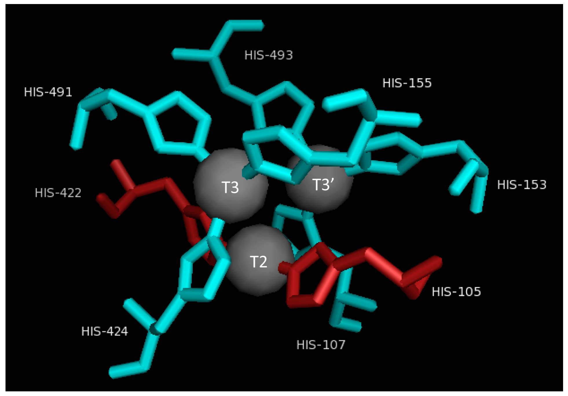 Molecules 28 06209 g003 Molecules 28 06209 g003