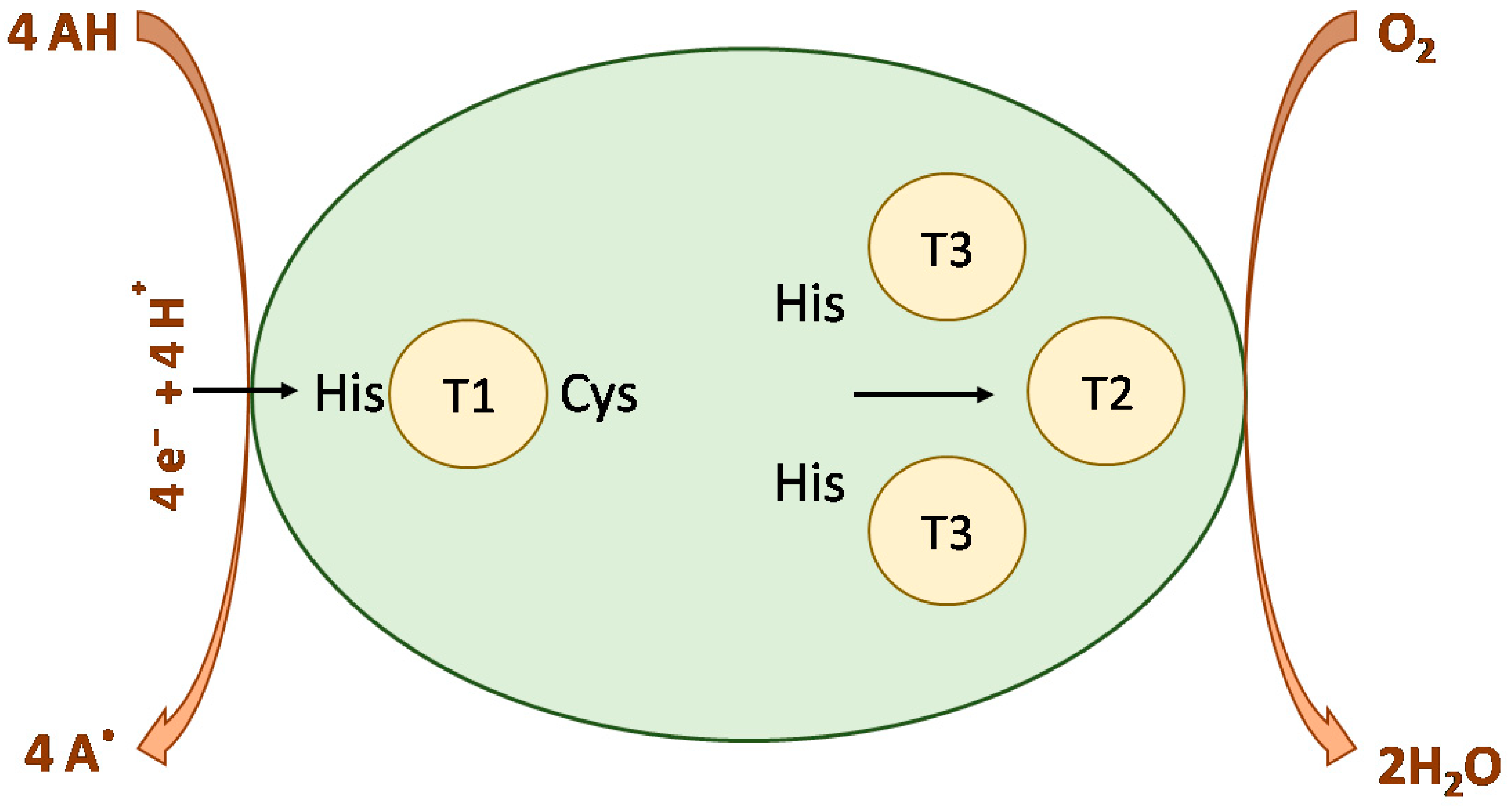 Molecules 28 06209 g004 Molecules 28 06209 g004