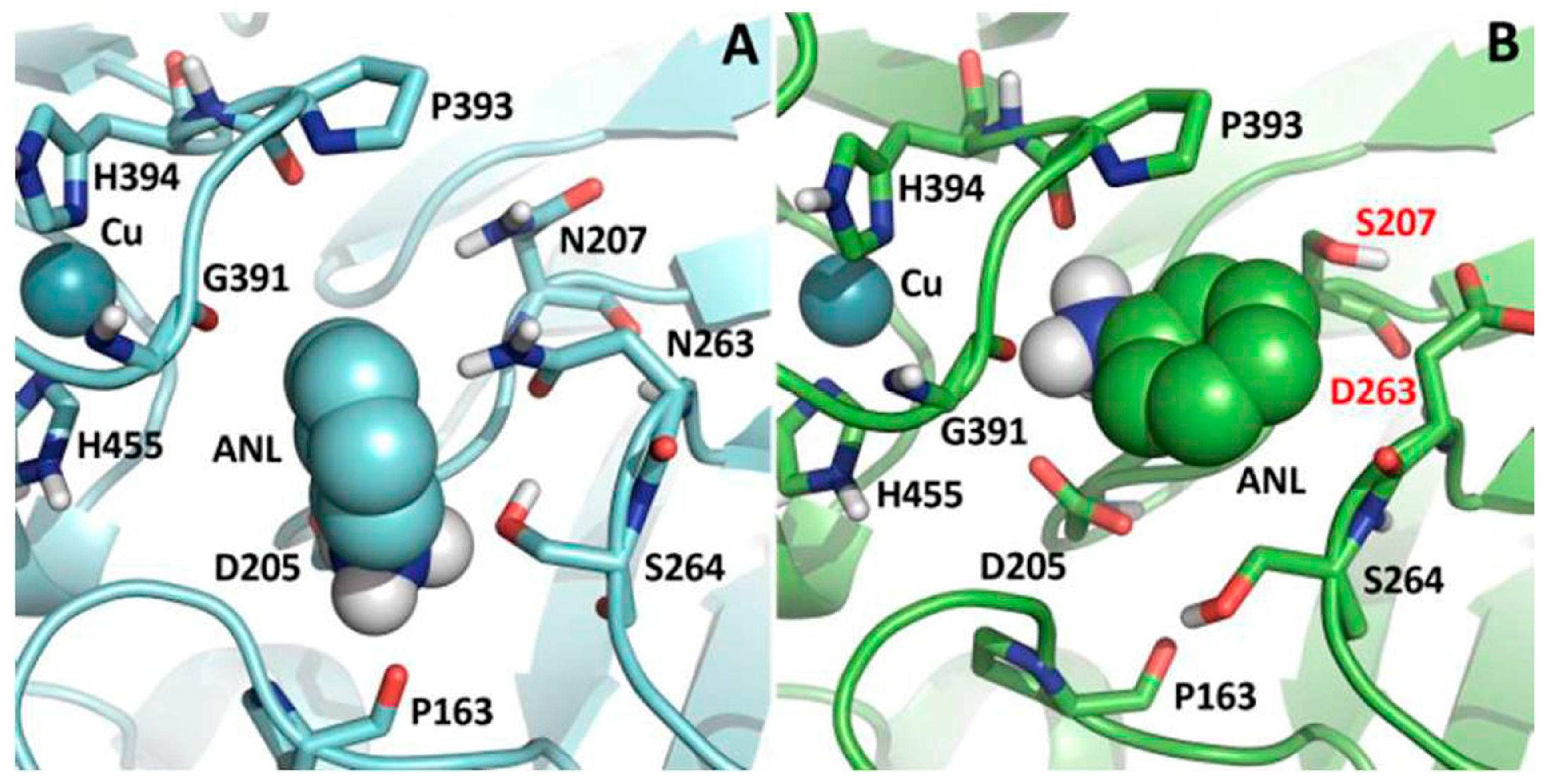 Molecules 28 06209 g005 Molecules 28 06209 g005
