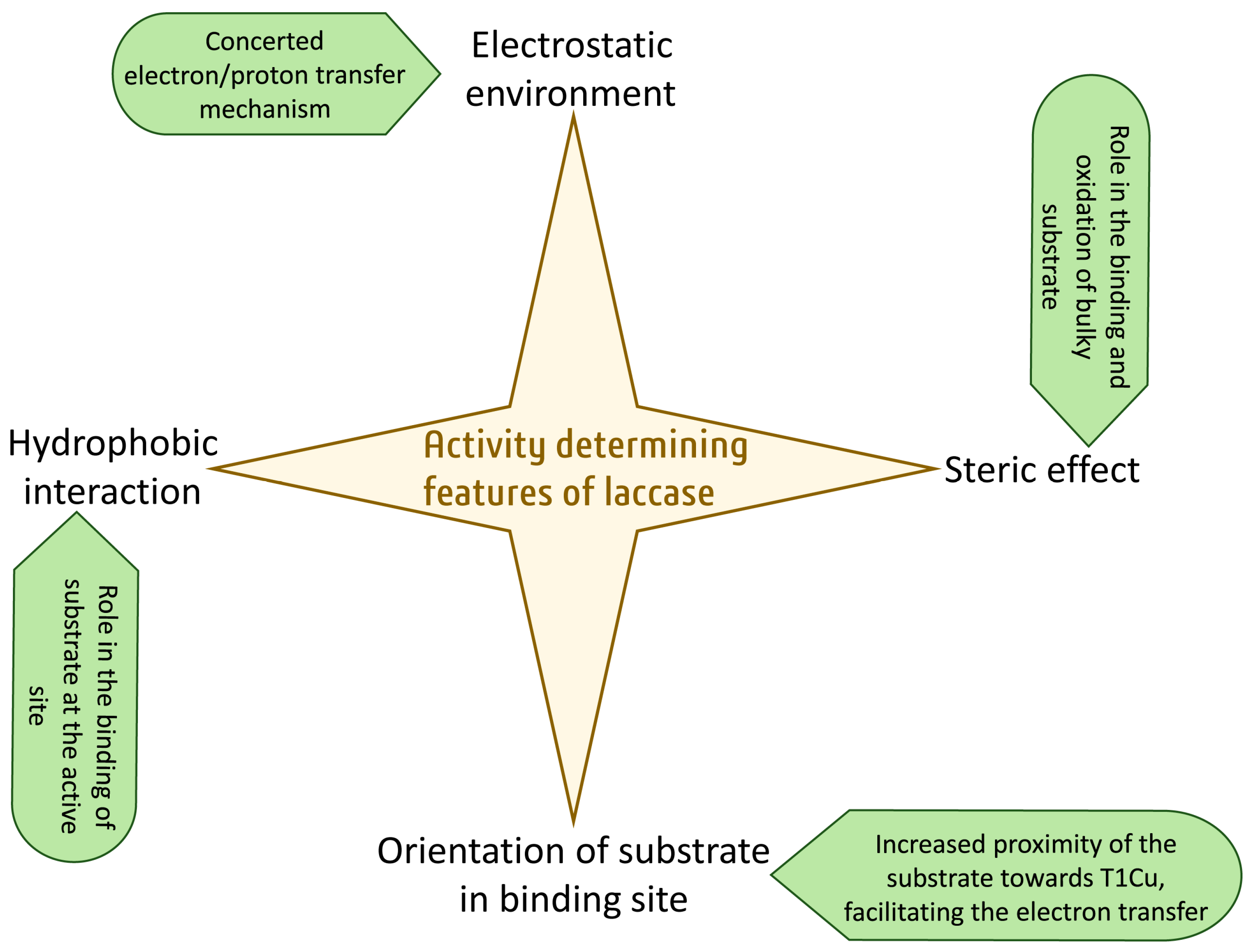 Molecules 28 06209 g007 Molecules 28 06209 g007