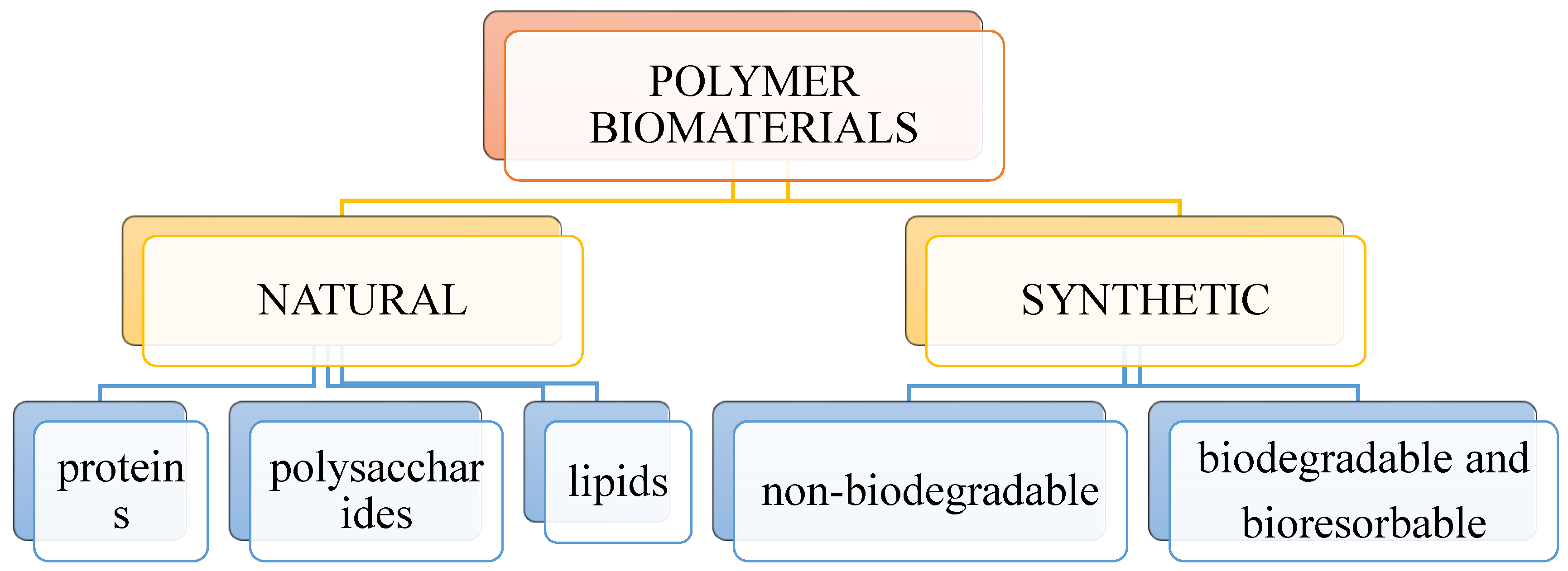 Molecules 28 06213 g004