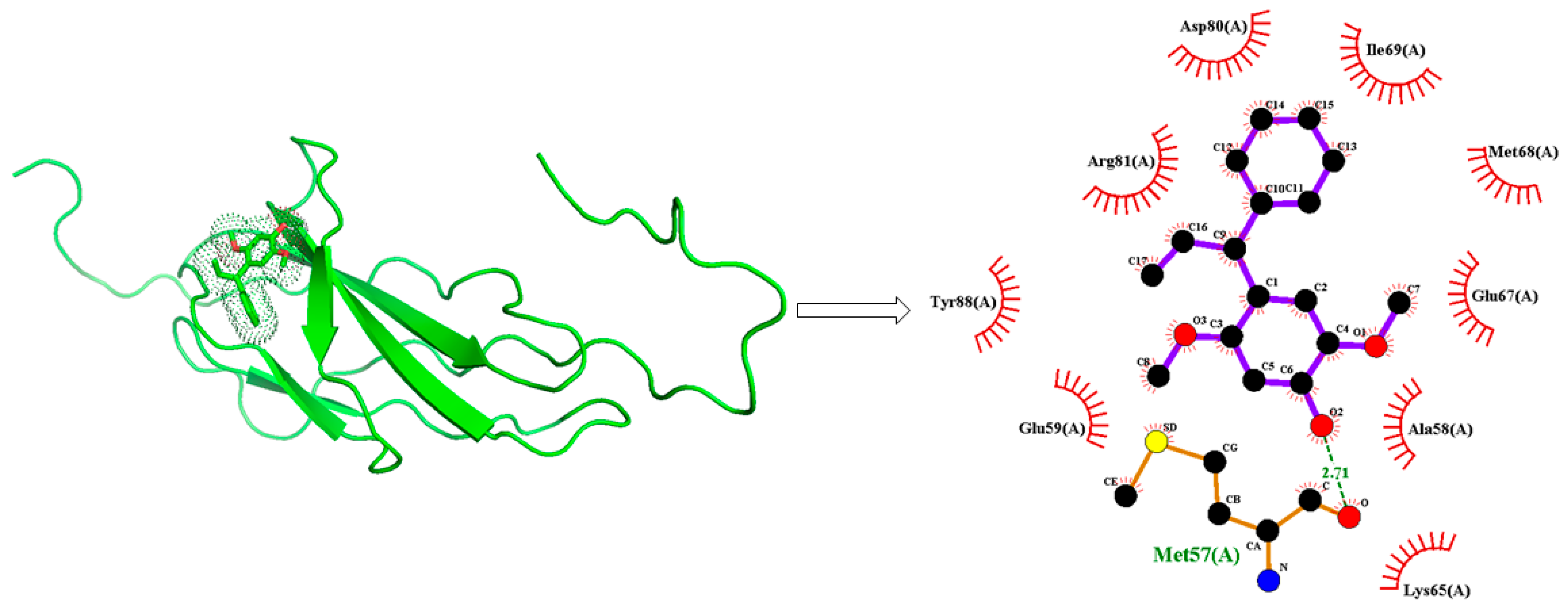 Molecules 28 06214 g007
