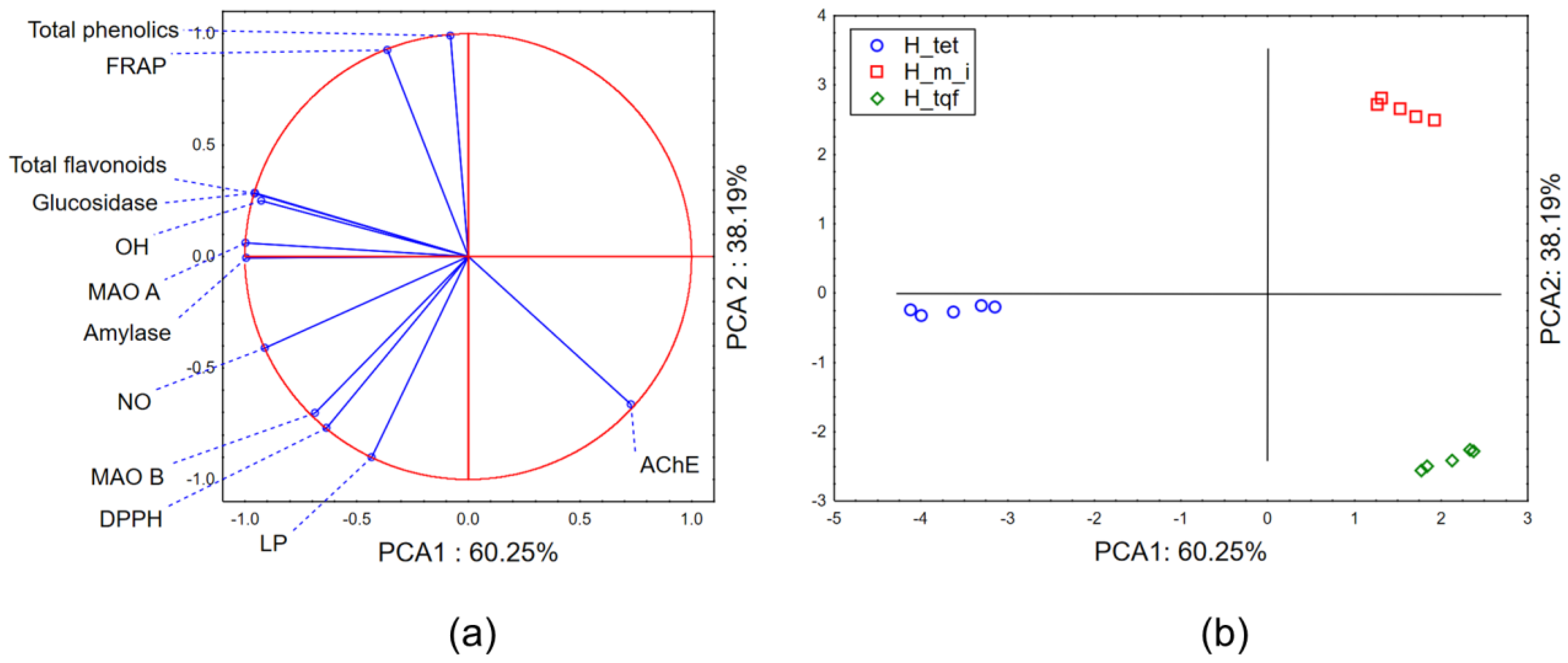 Molecules 28 06218 g002