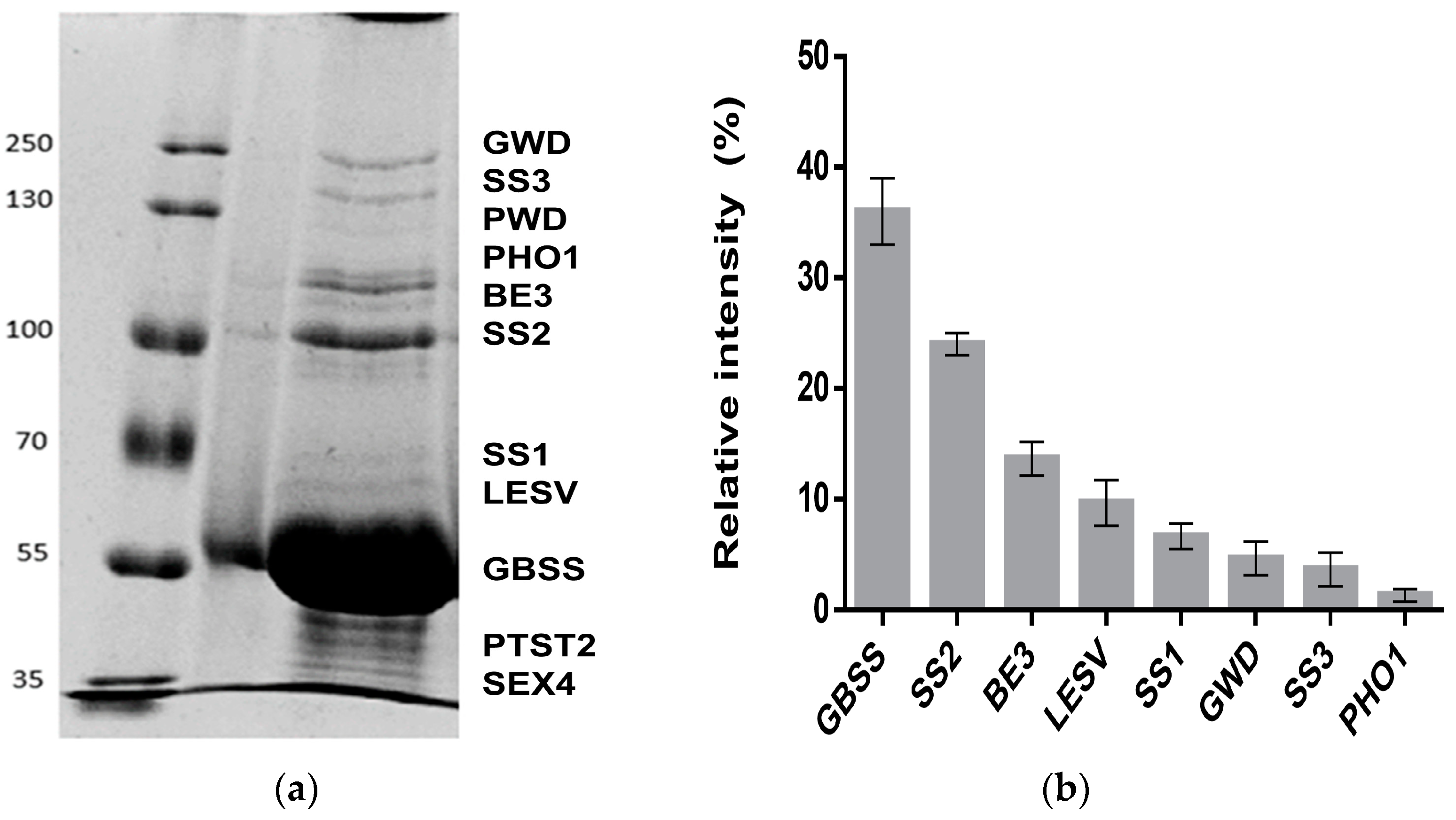 Molecules 28 06219 g001