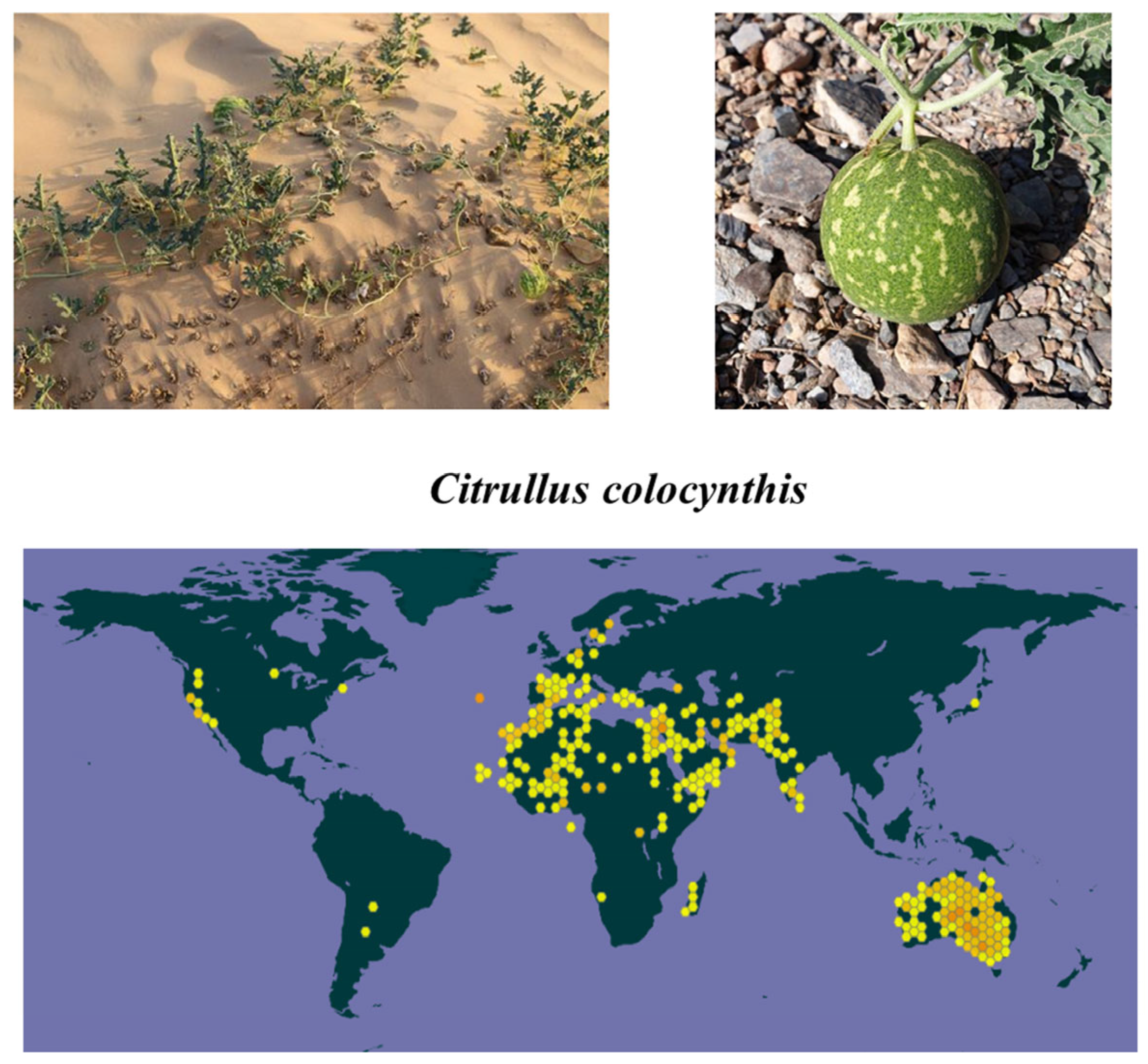Molecules 28 06221 g001