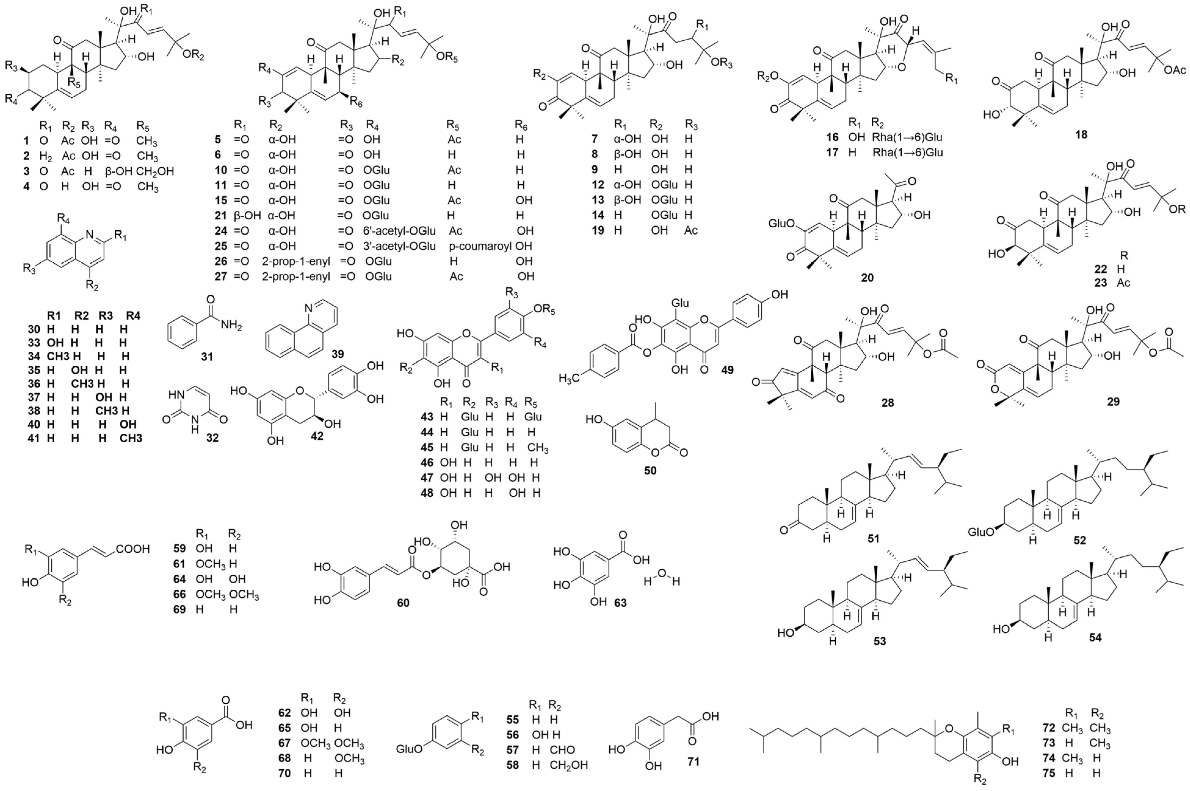 Molecules 28 06221 g002