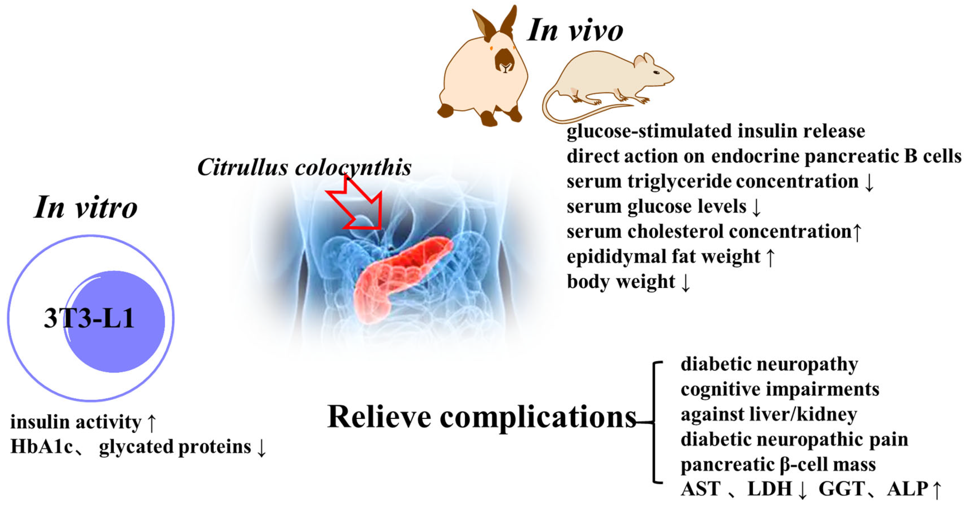 Molecules 28 06221 g005