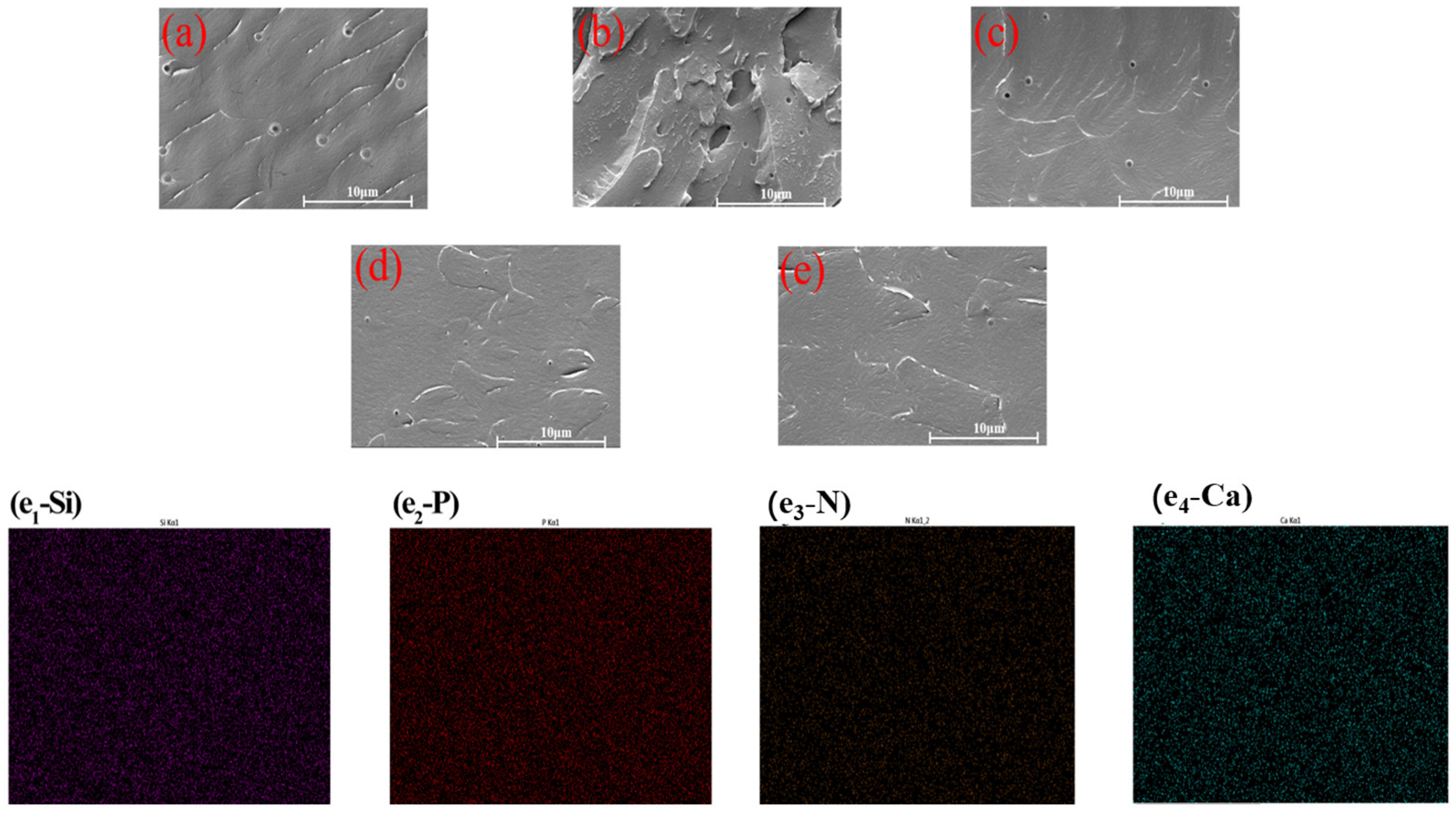 Molecules 28 06223 g006