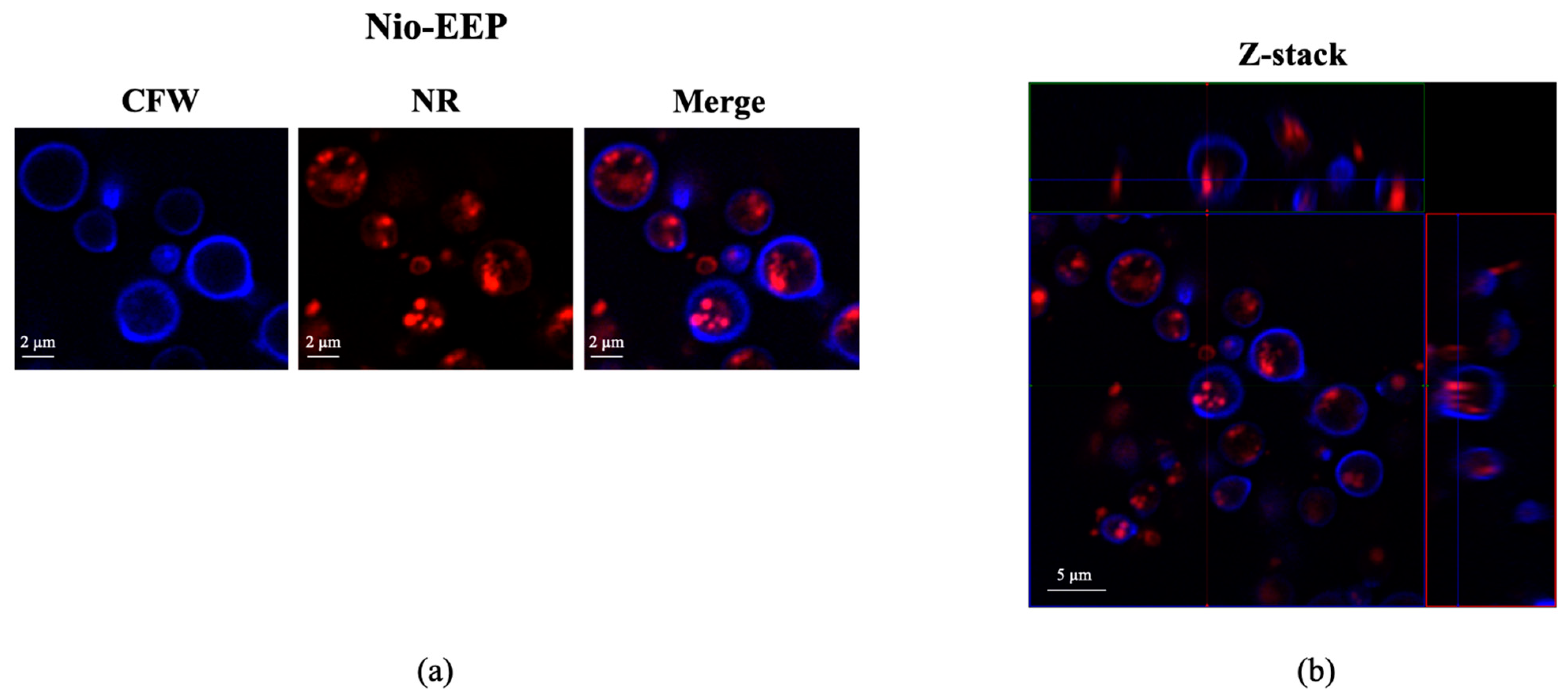 Molecules 28 06224 g004